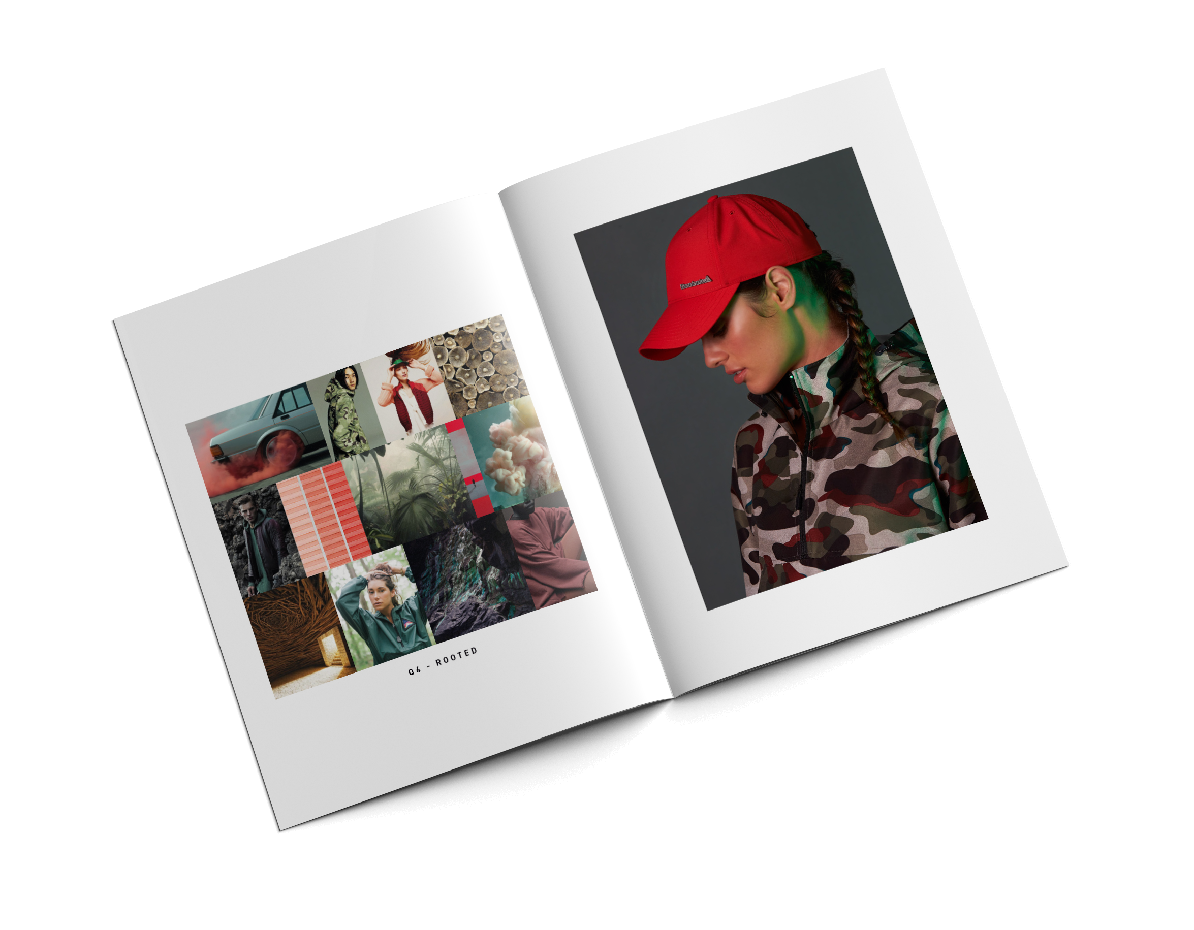 FW17_color_bookmockup_cropped.png