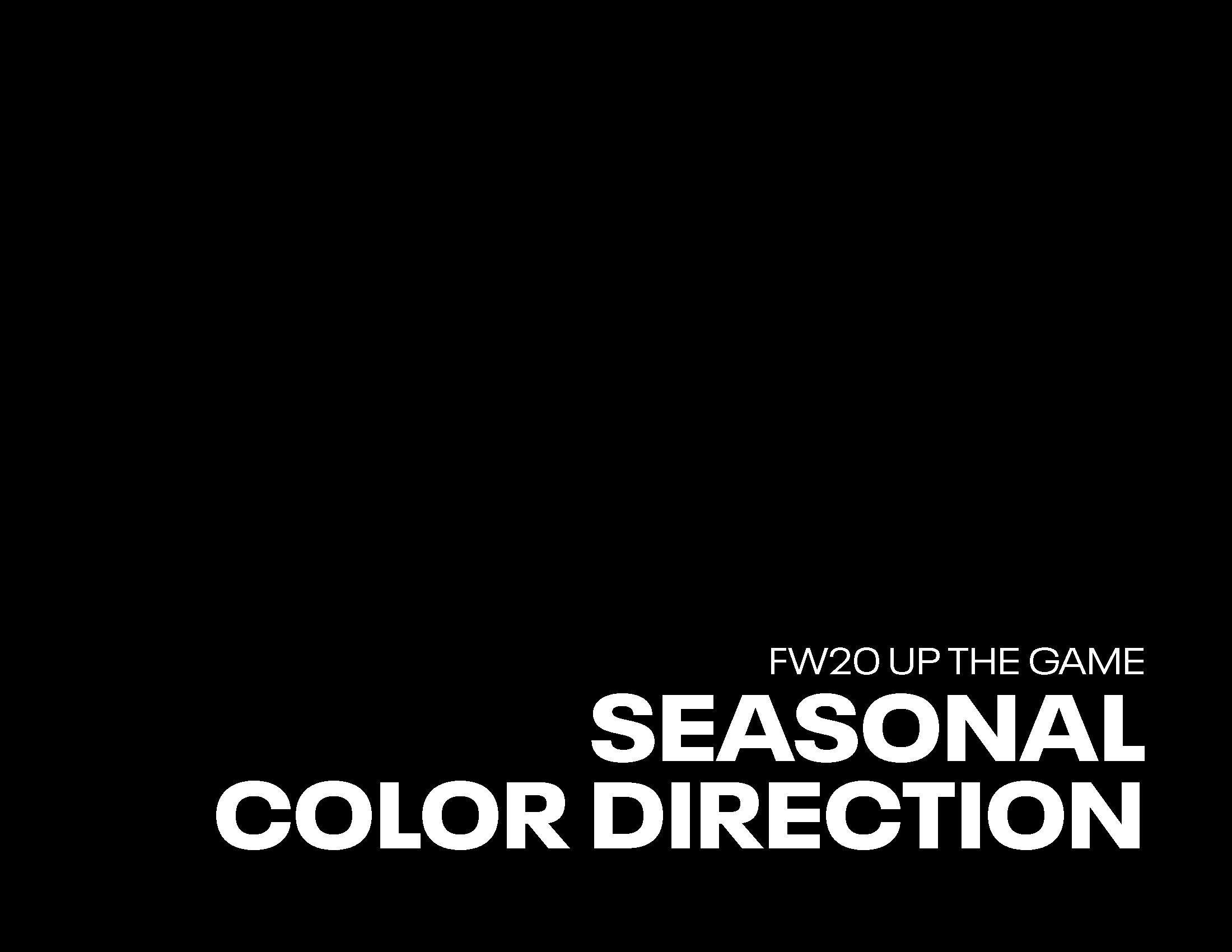 ChristineDevittStoliker_ReebokFW20ColorDirection_Page_01.jpg