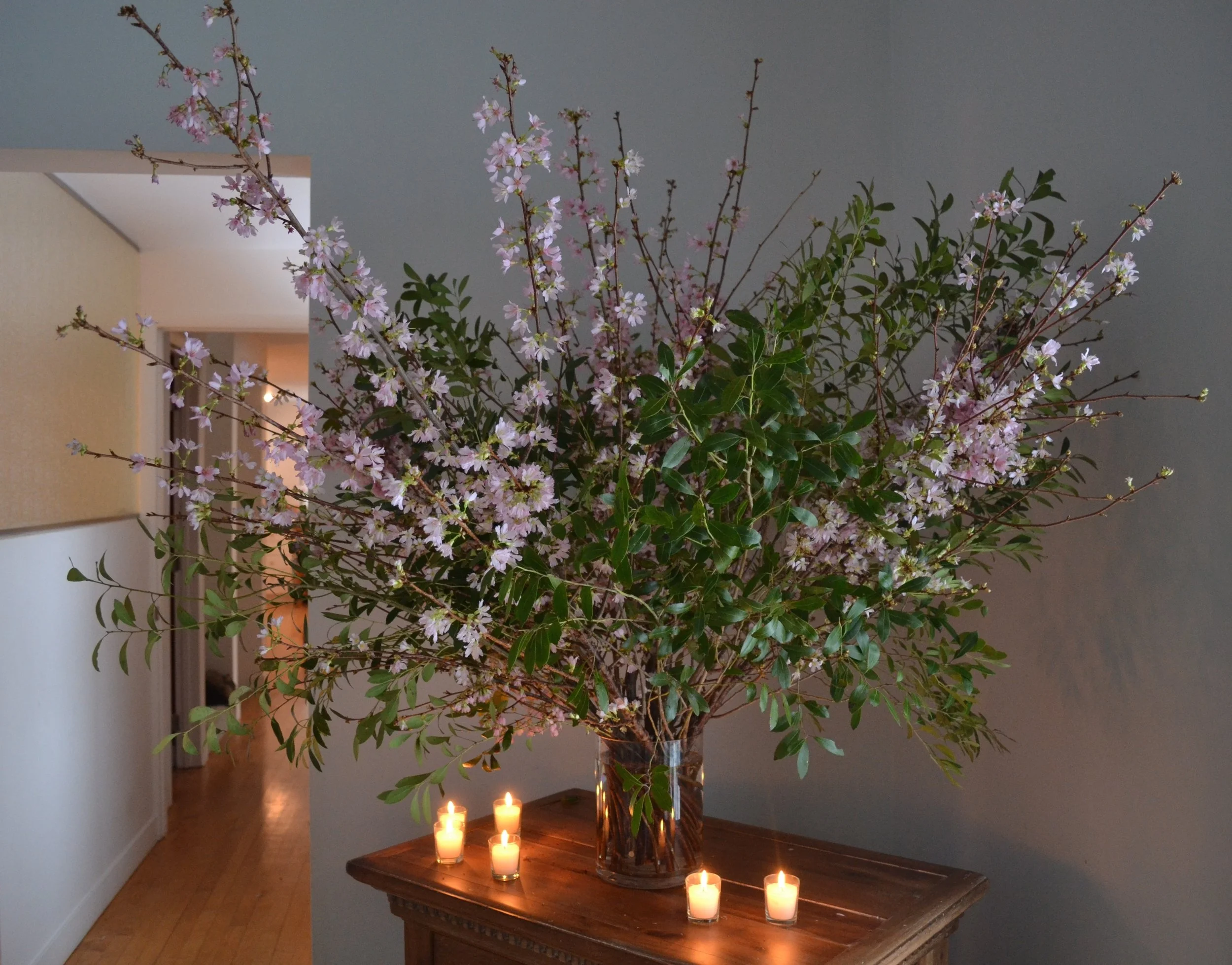 CrabAppleBlossomsBranches_02.2017.JPG