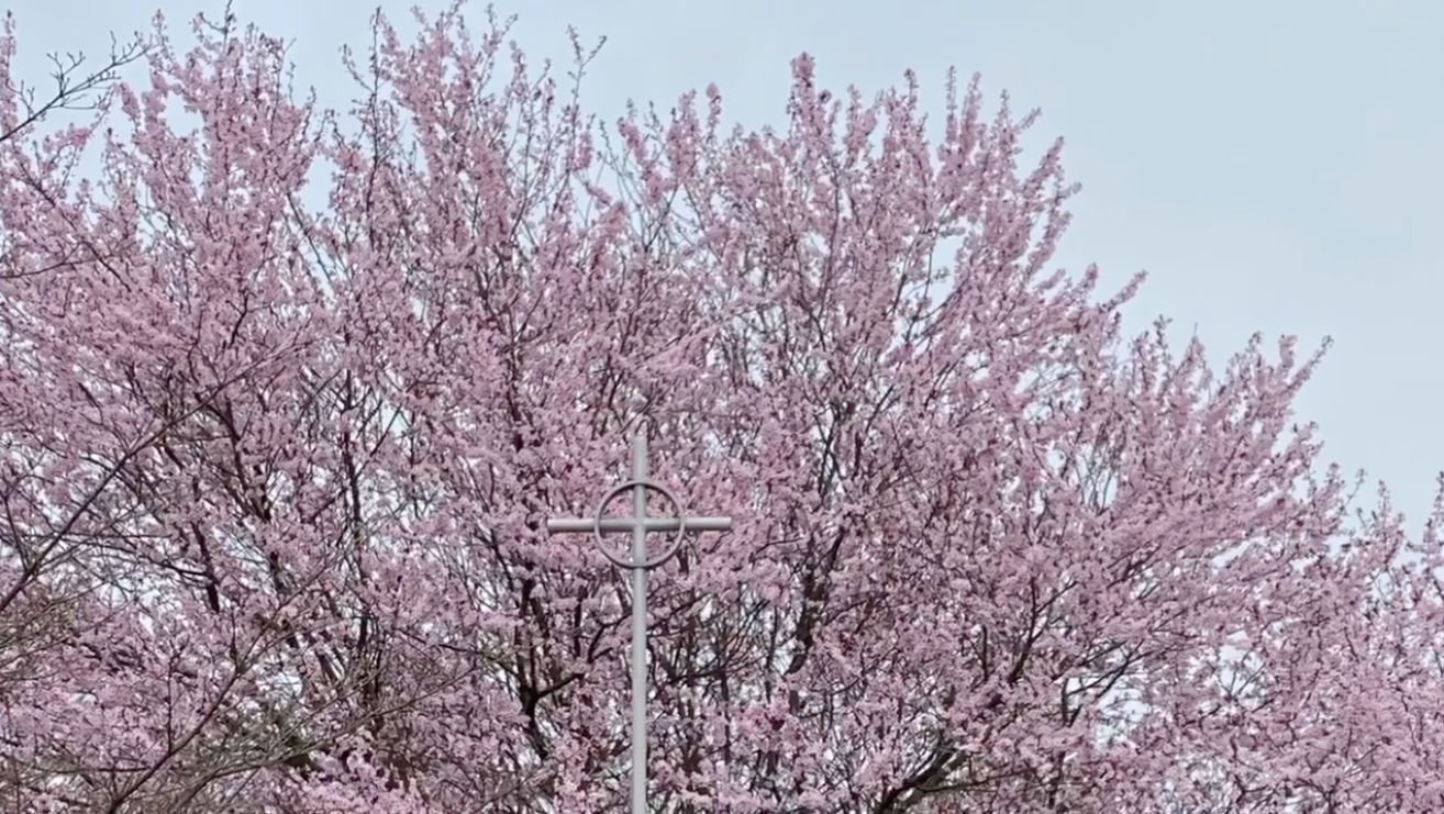 Holy Week 2020 Personal Reflections