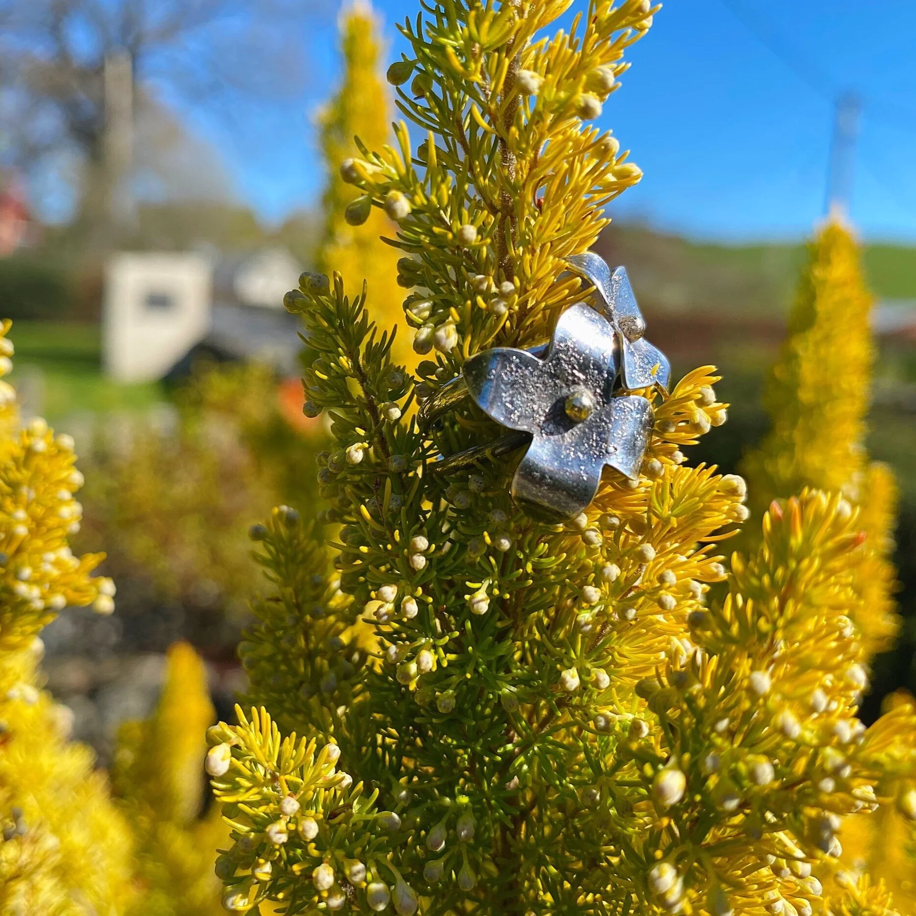 ETERNAL SPRING lilac ring with 9ct gold embellishment