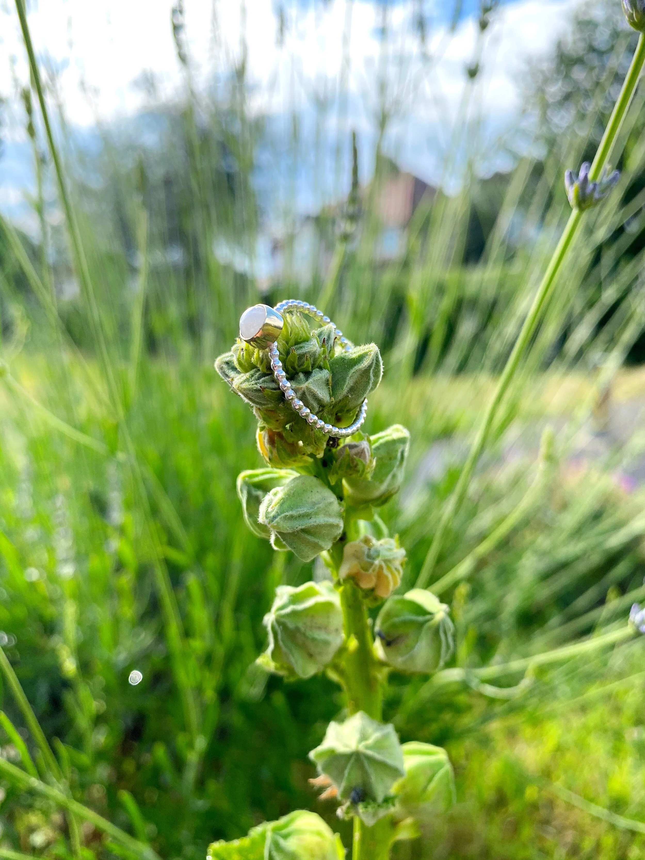 485CDA56-6C0E-454B-AB0C-74C57AEDC7B4