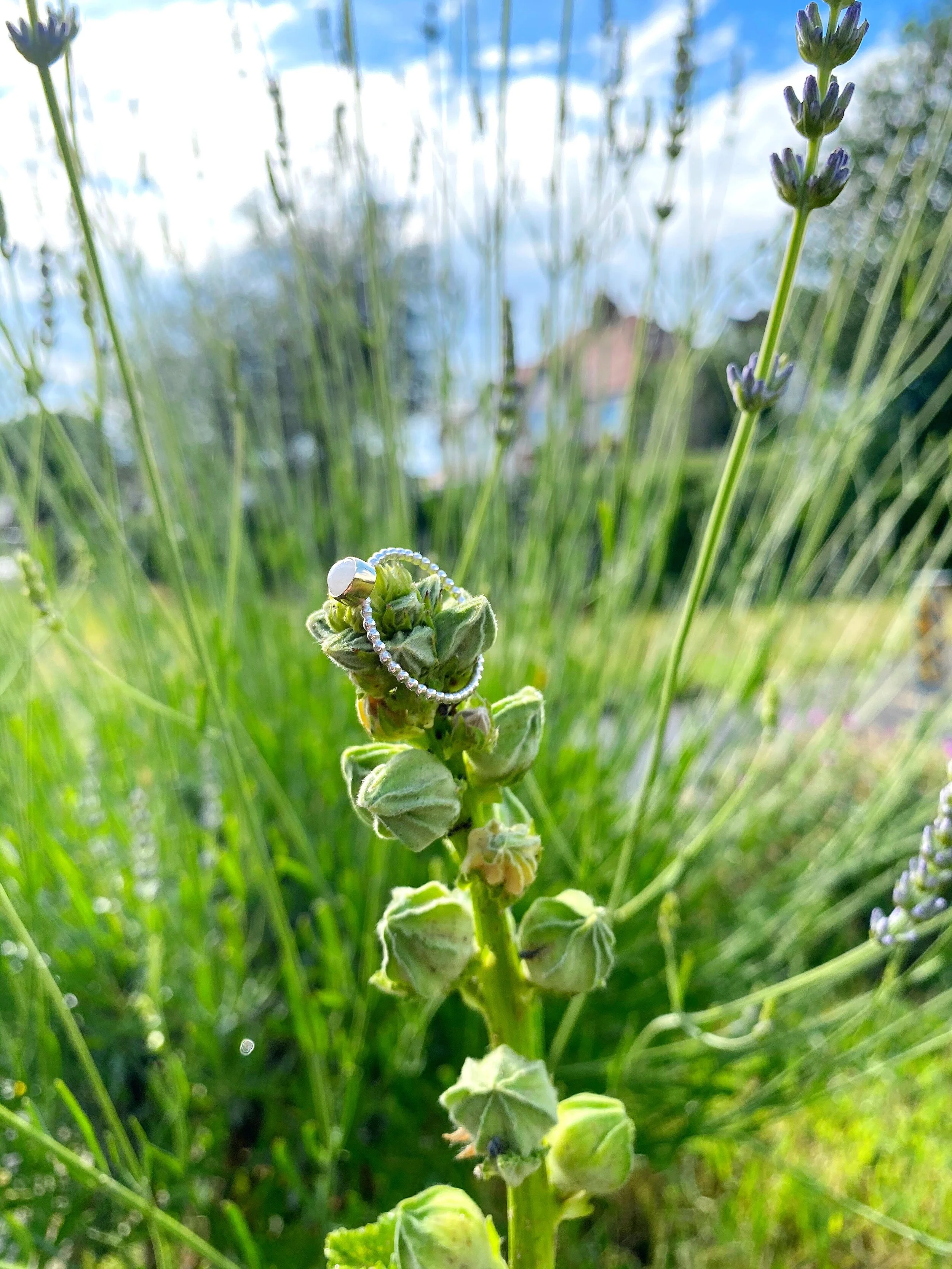 4ABAC45F-054A-4D82-945F-F4BAF3B21024