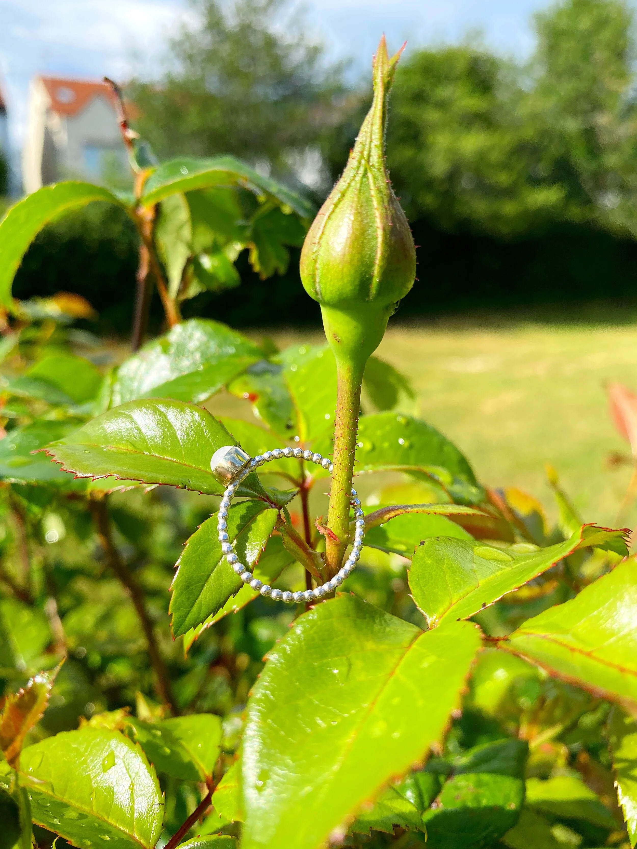 2CE7B31C-9B65-491E-8E27-2C386BBDD509