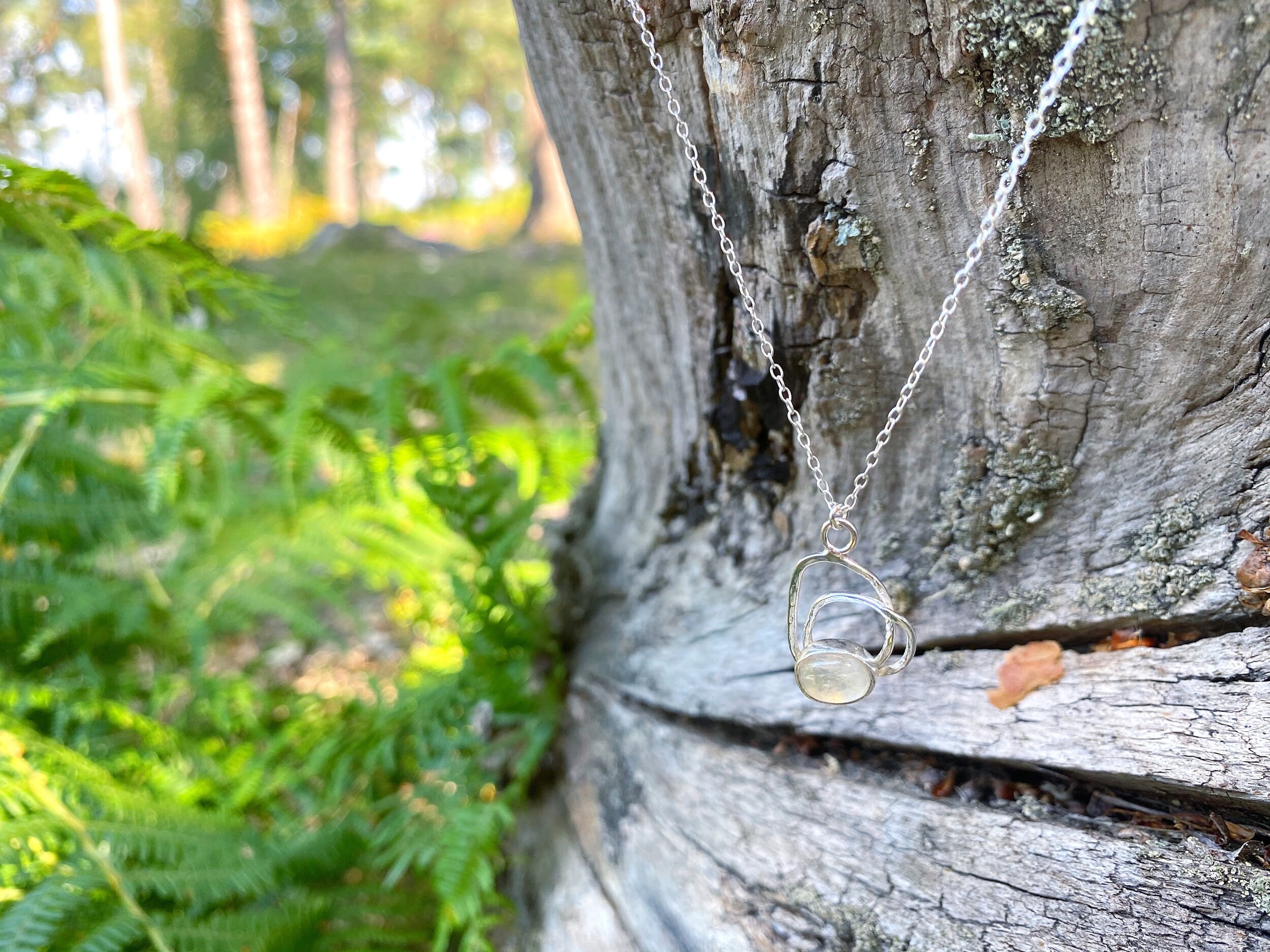 BFC24C7F-D854-4778-8FBB-EFA32684D0F0