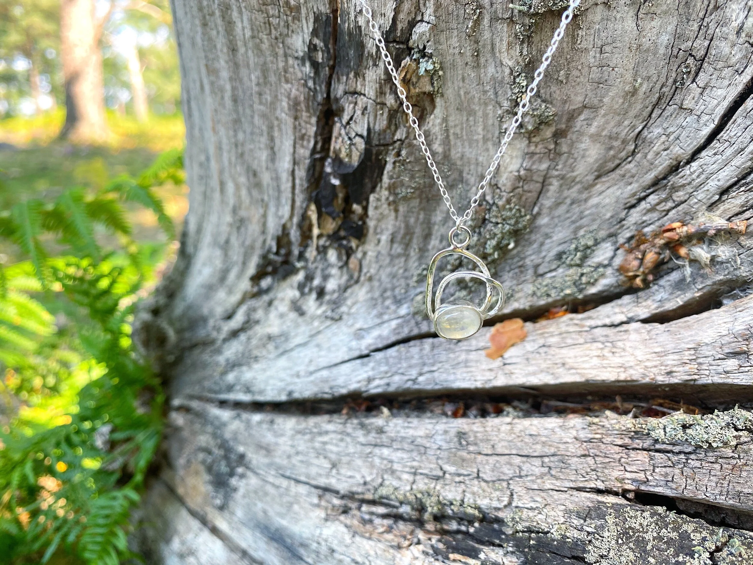 73D633BE-81B9-4333-8CF0-E65B6DC5E4E2