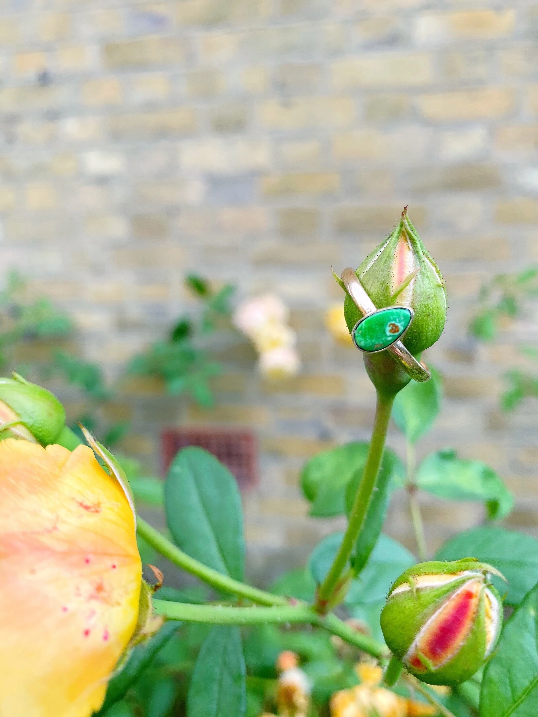 49A853E6-DEEF-4004-8B15-FDA57BA67B41