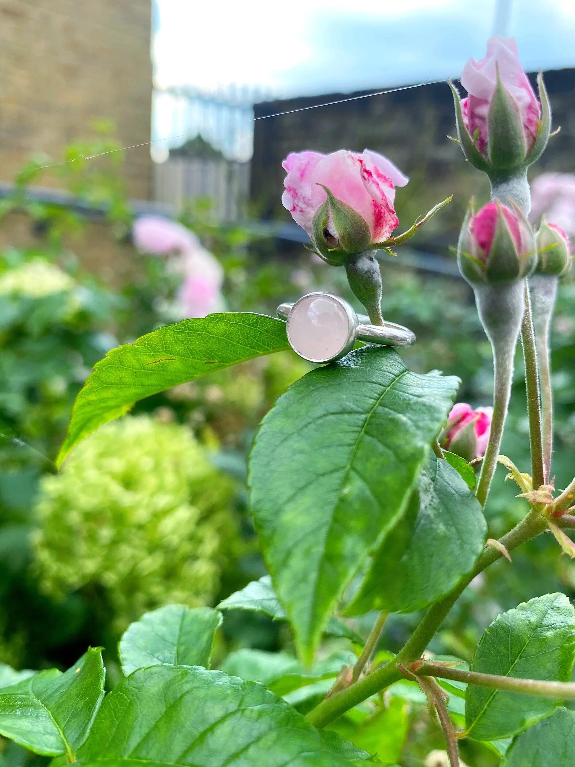 560C97A9-0AC5-47F2-8C11-EA0D387D90C8