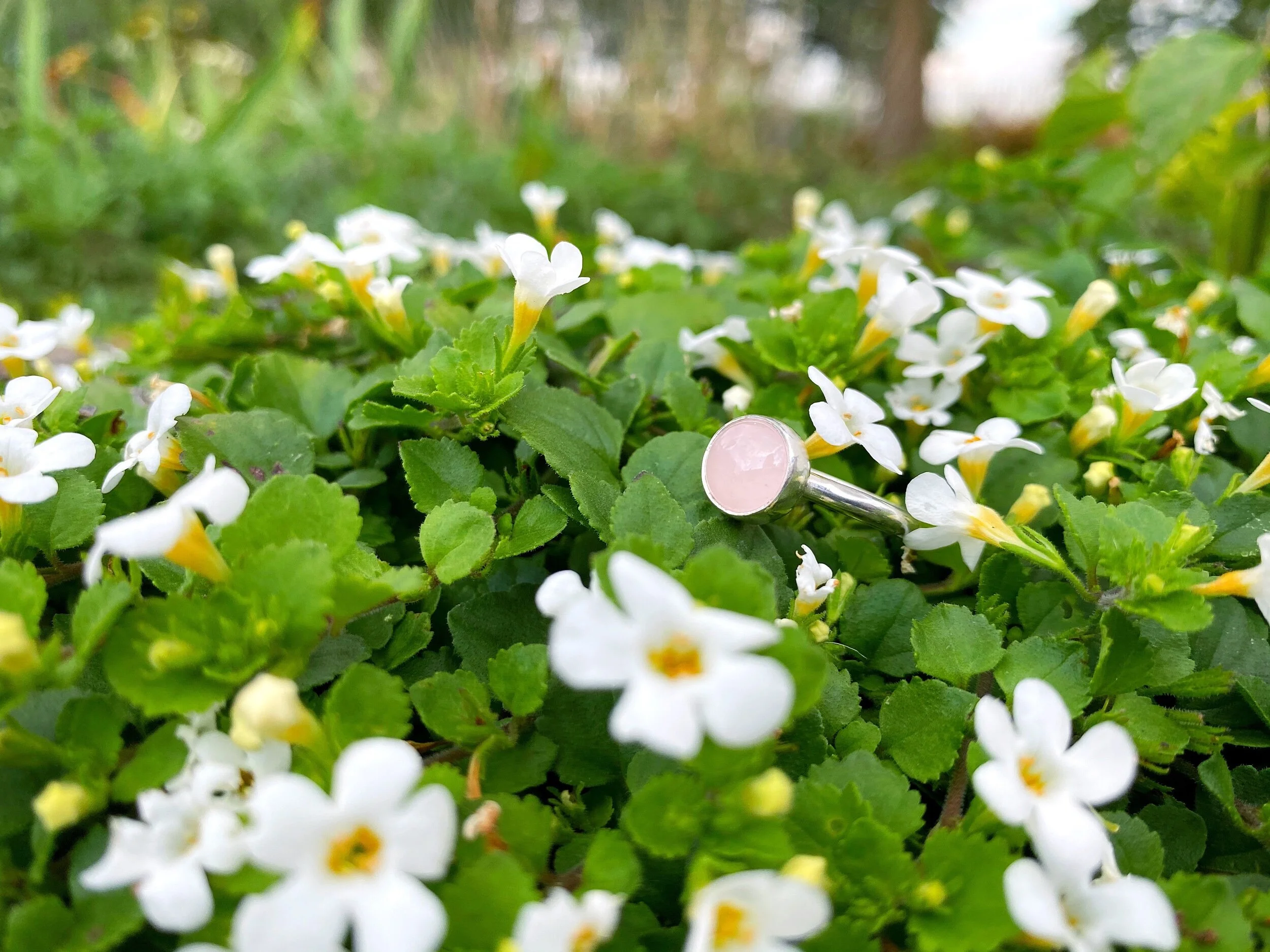 B6E5B148-33B6-455B-827C-F0F5B05A6013