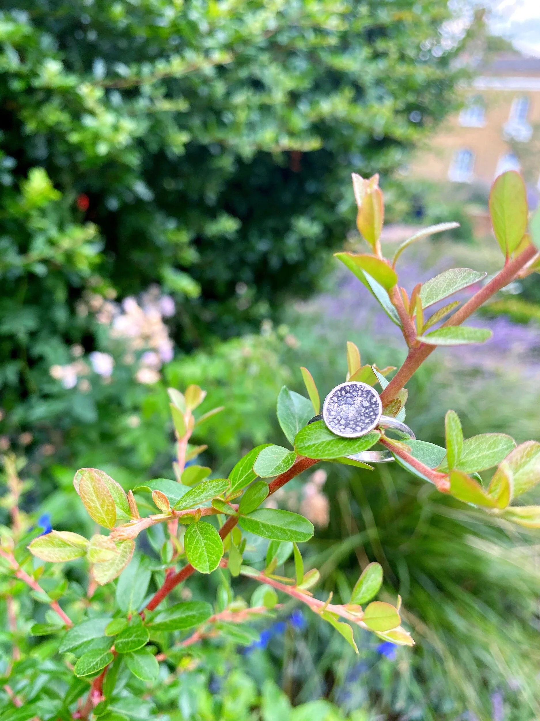 F1E5463E-2995-4E3B-A1B9-27B5043738D9