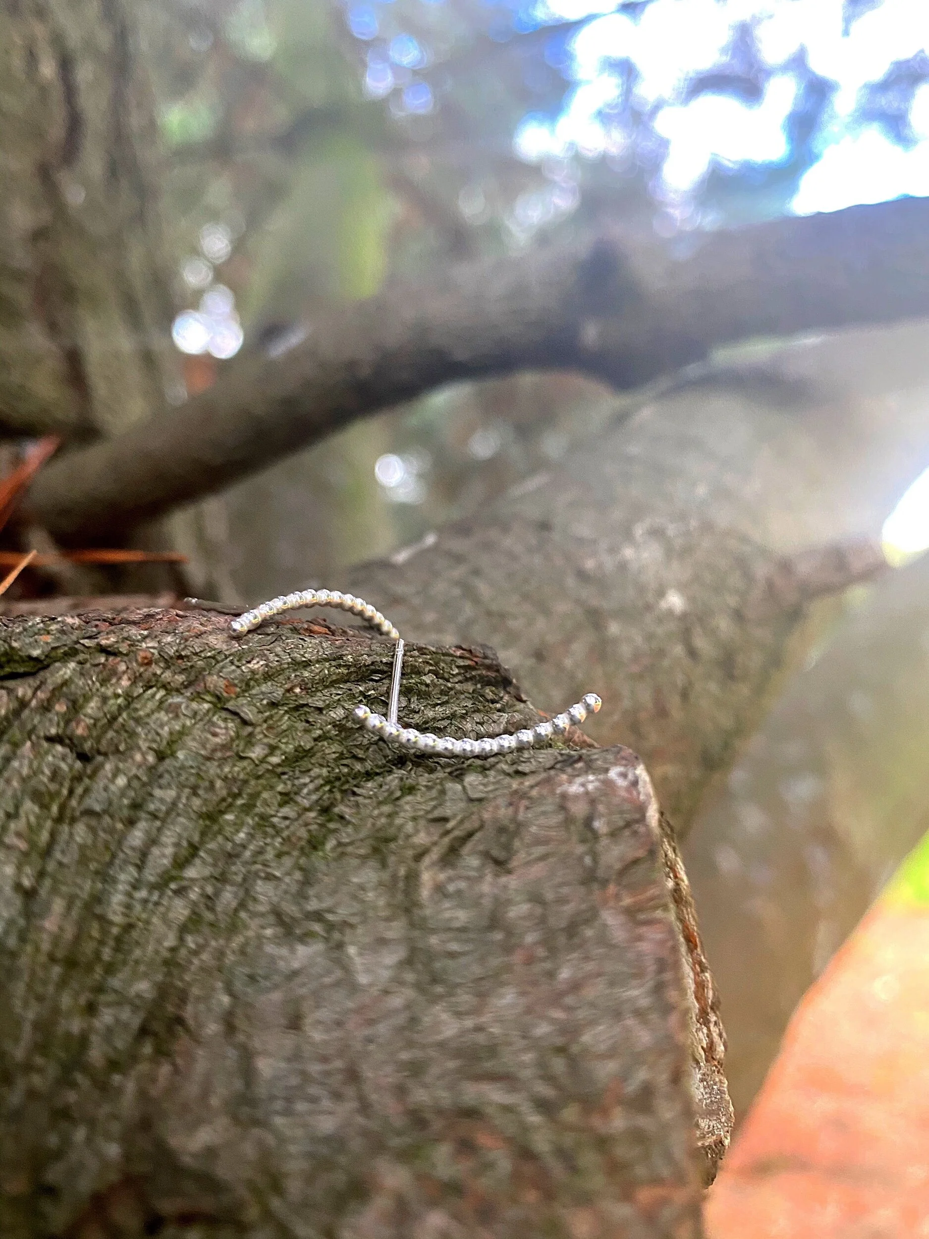 D1F59577-F848-4A99-ABB9-95DD3392CD84