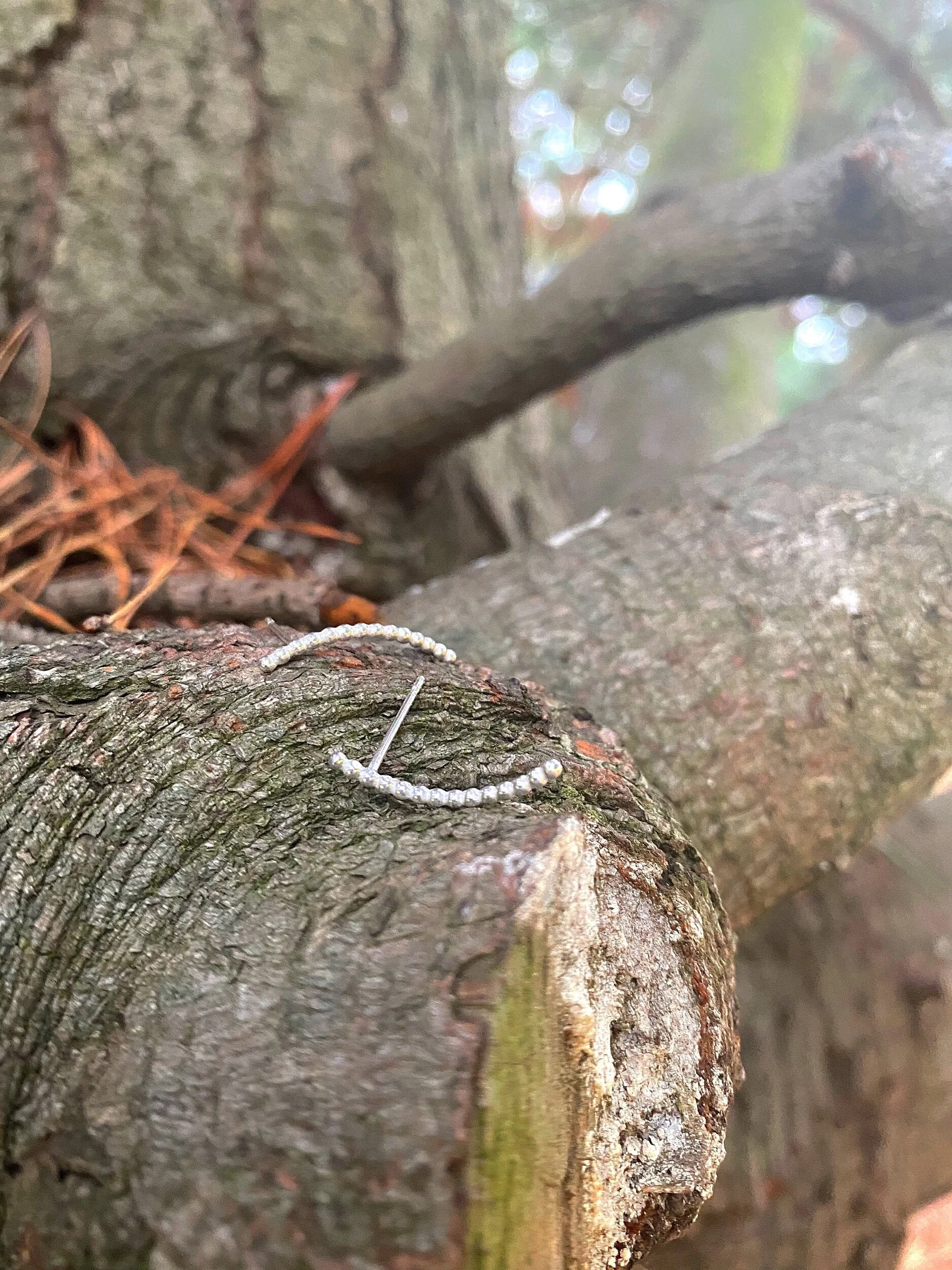 1A19ADDD-ADF6-48D7-8EA8-C427EA1A081B