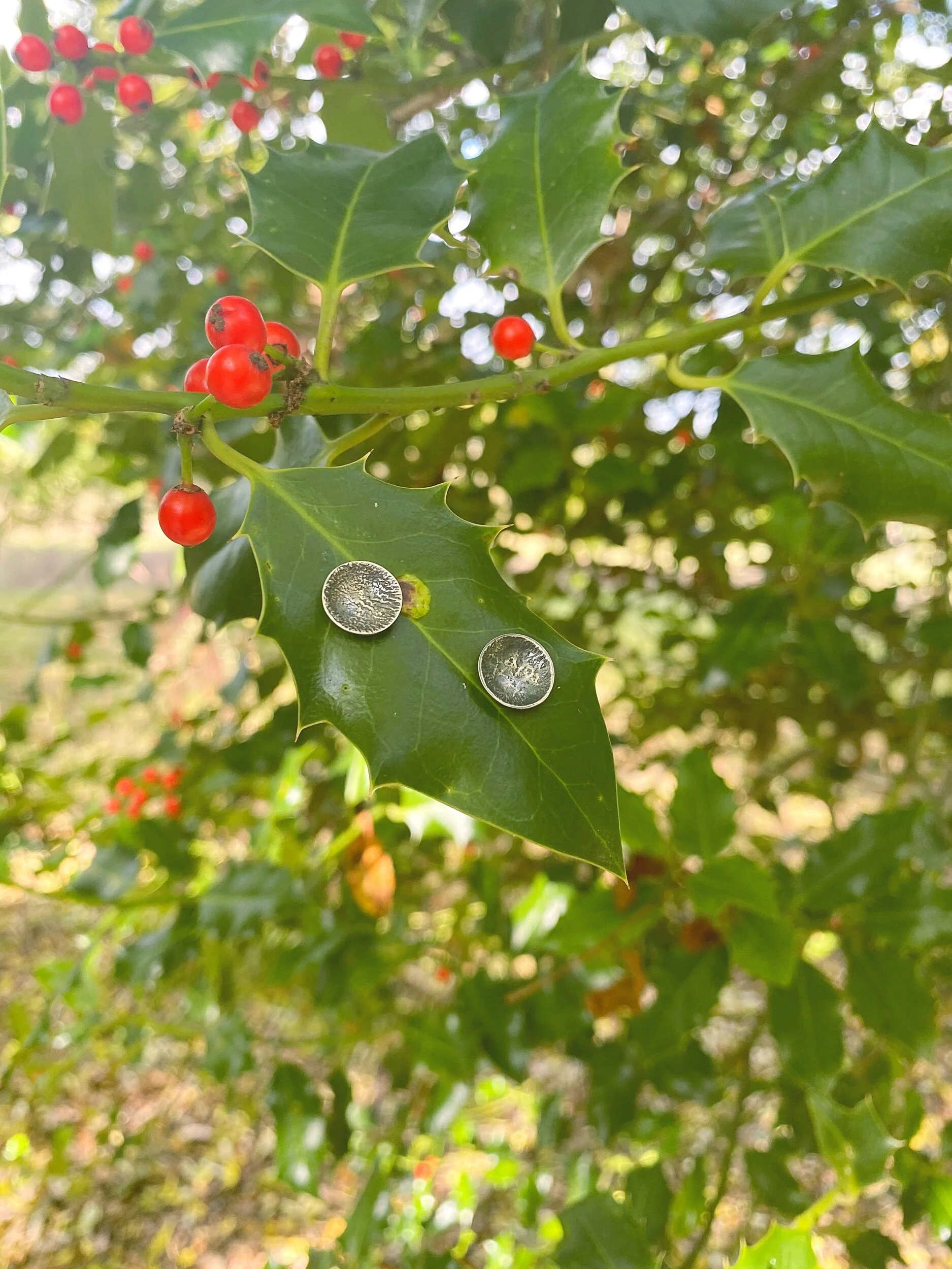 ECAEC5ED-8947-49CE-B2D7-B5412CF16626