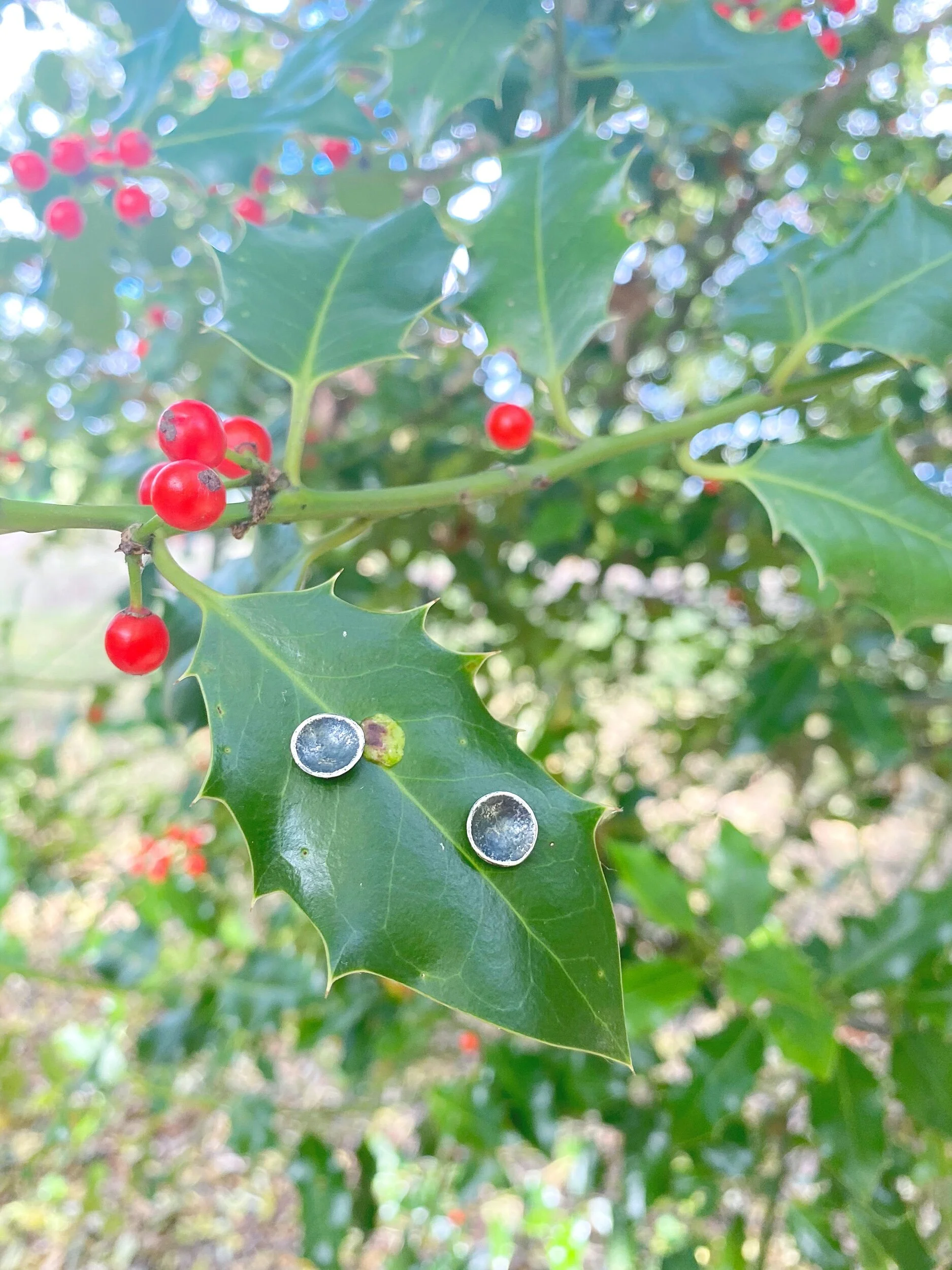 753E6ACB-699E-450A-BE1E-909CD58A4DD5