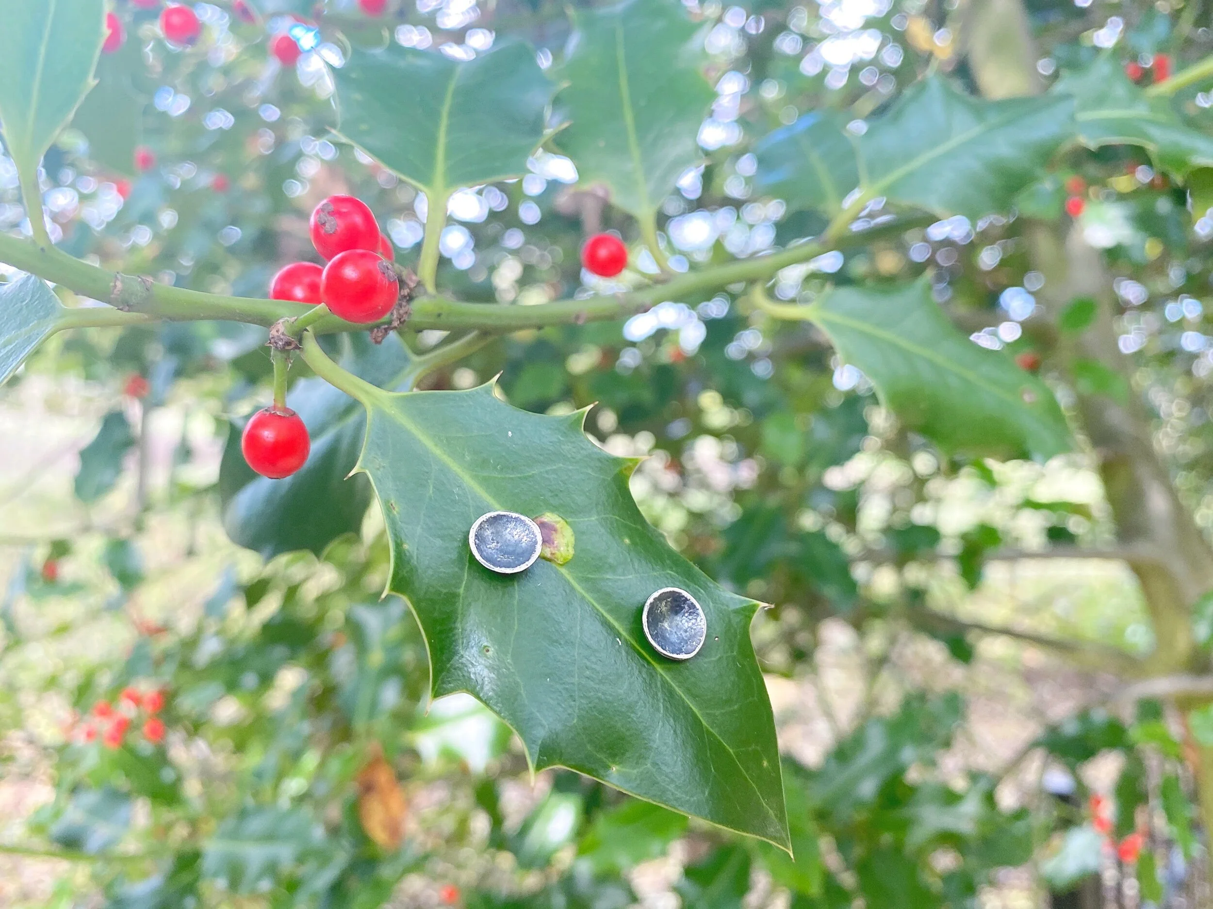 1825BDDD-6B5E-4BF0-8781-EB0D6A3CB0D6