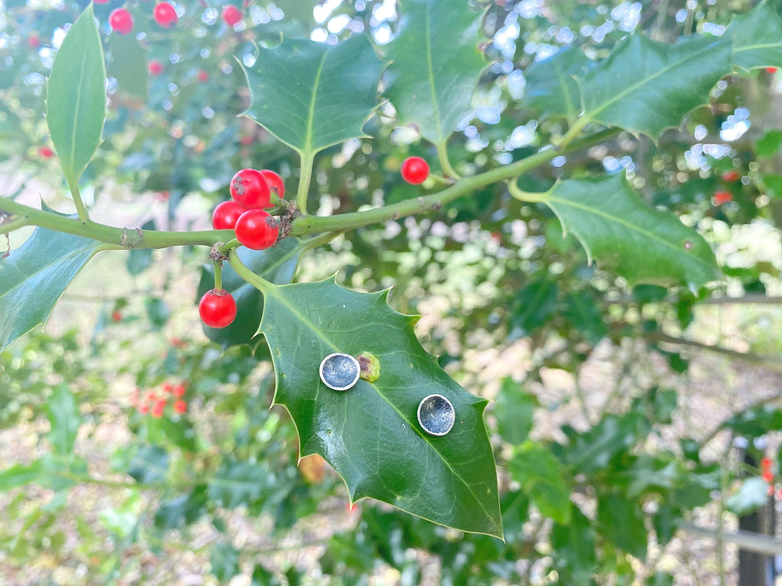 74AE6273-7B3C-4E1F-8C25-96DE95605A4F