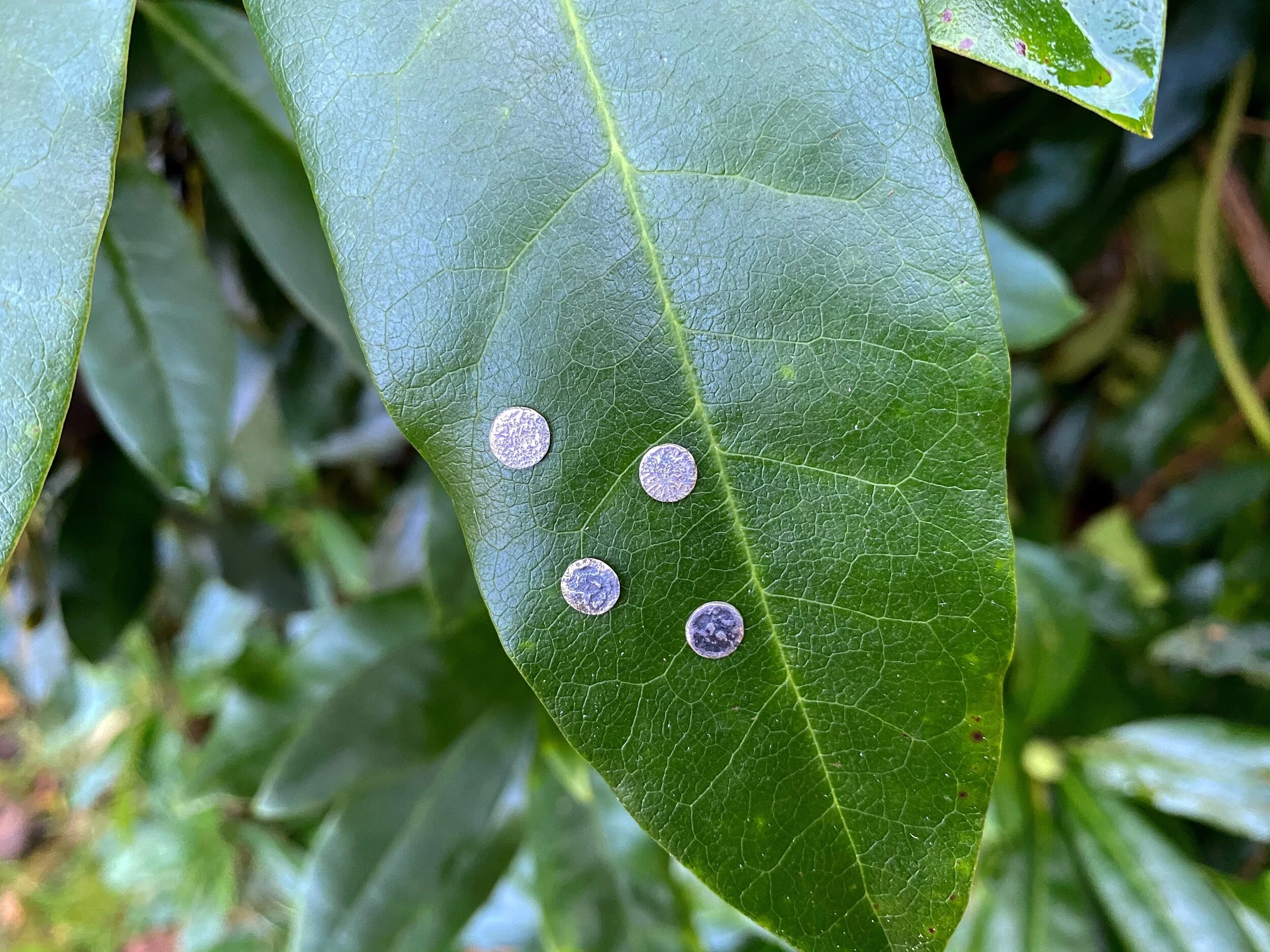 965D747B-CF47-4F64-AB52-82232E04AAAF