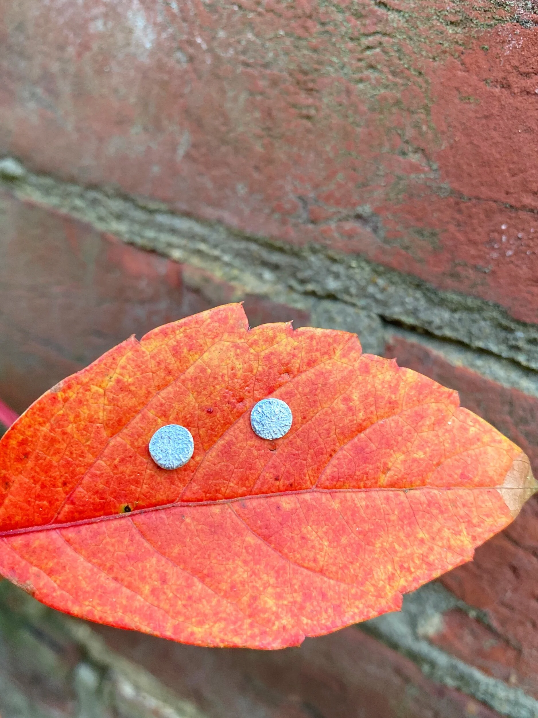 7717575C-A69F-478E-857D-FEAB07C43FDE