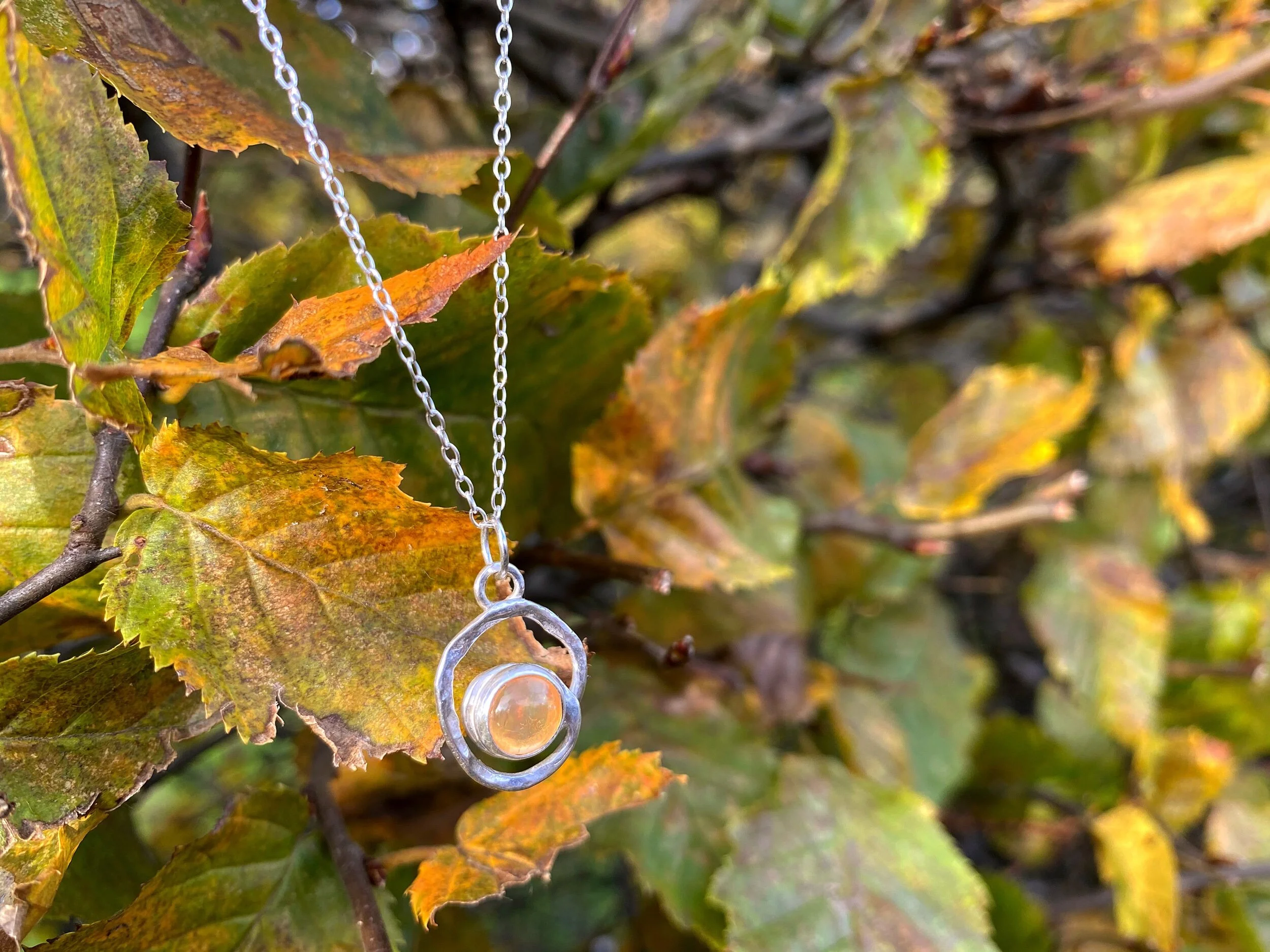 50A324CC-B840-41A2-8FB6-9FF45DC5D2A2