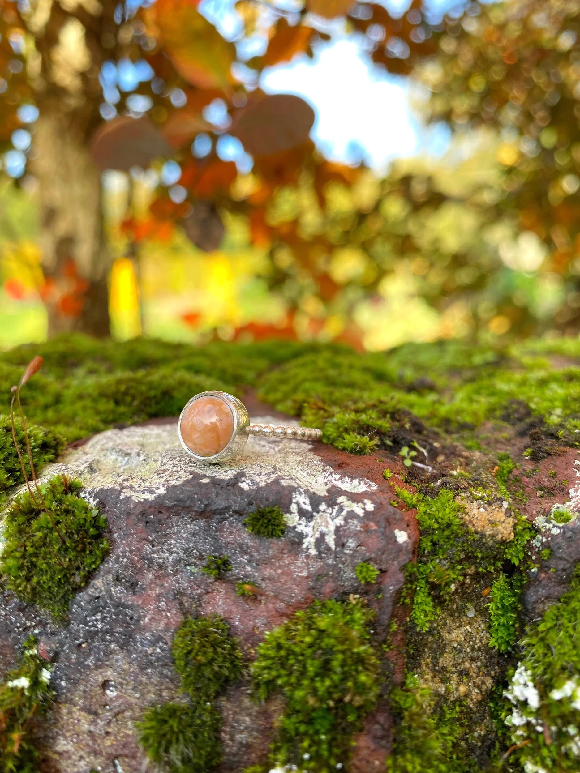 BAAB5F80-F750-4399-A632-20508C0A666F