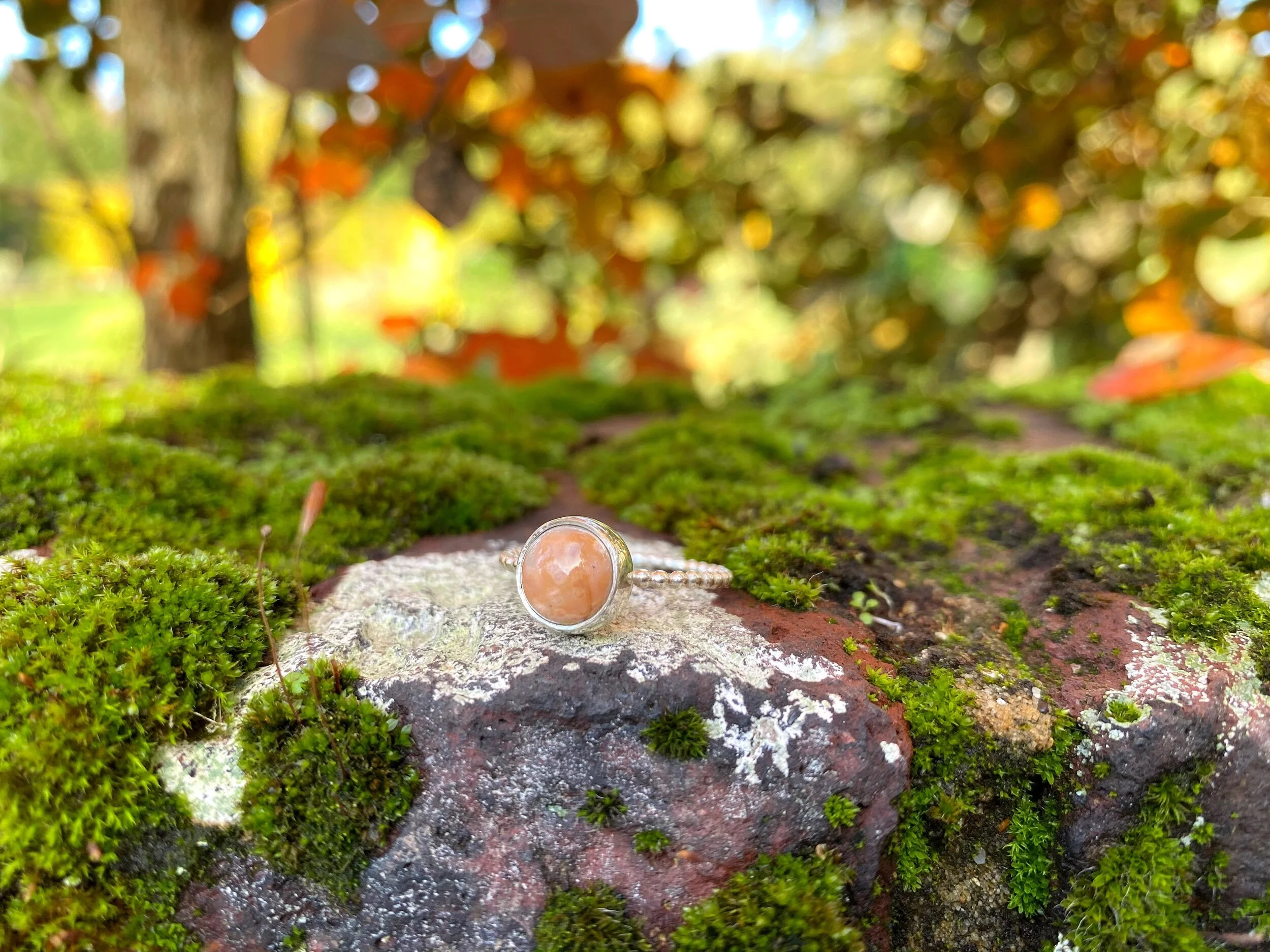 7DF9CBBF-2B04-4A3C-AFA4-91D9A2F533D5