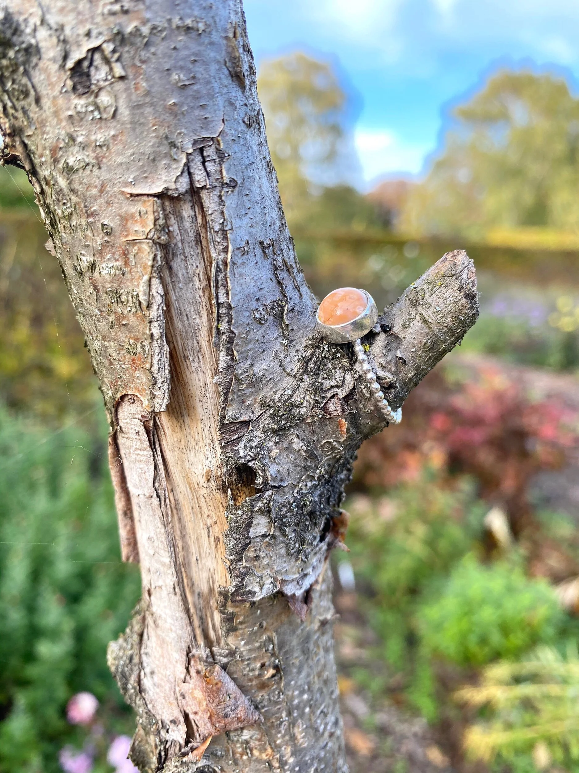 D5589AA4-D526-4CB7-83AD-06F05DD5C20C