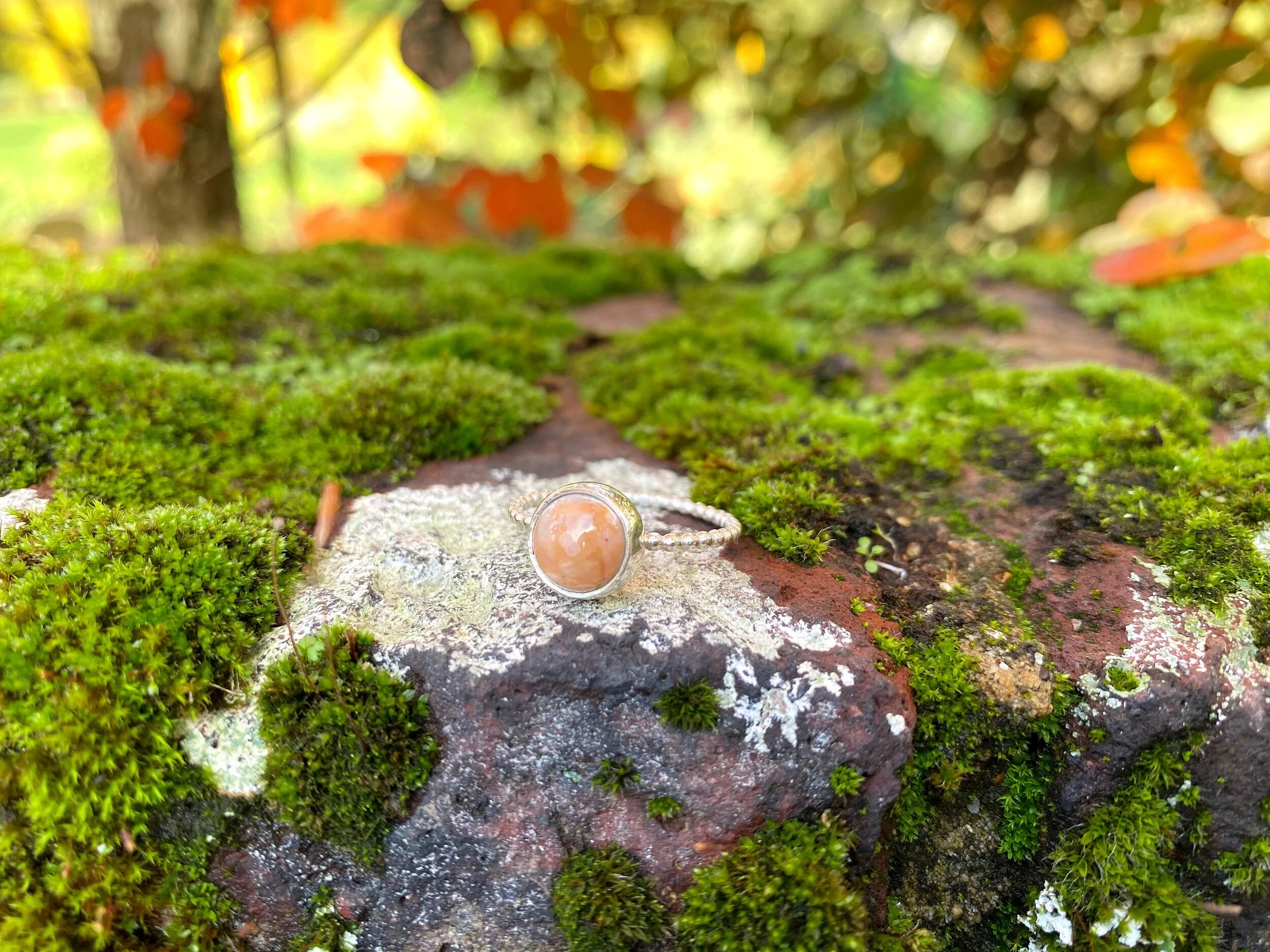 ECD16E0D-8BD5-4E76-98D5-3D3BAE04C0A9