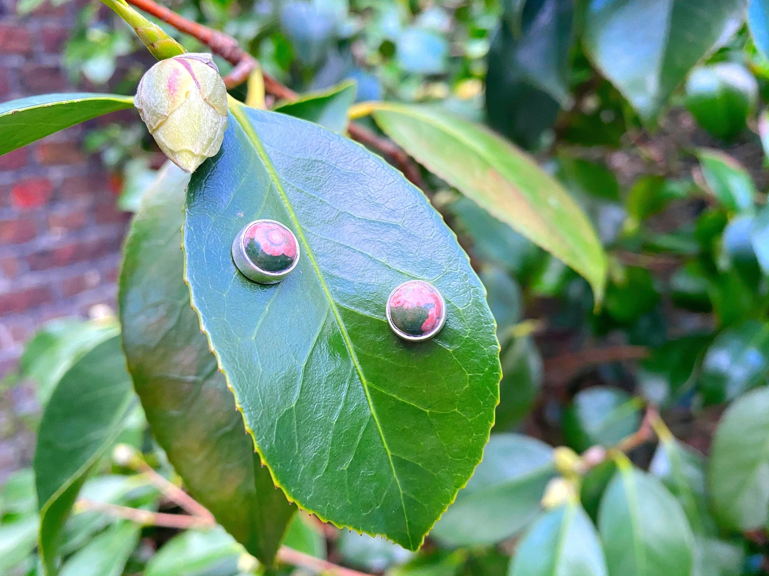 Ocean jasper stud earrings