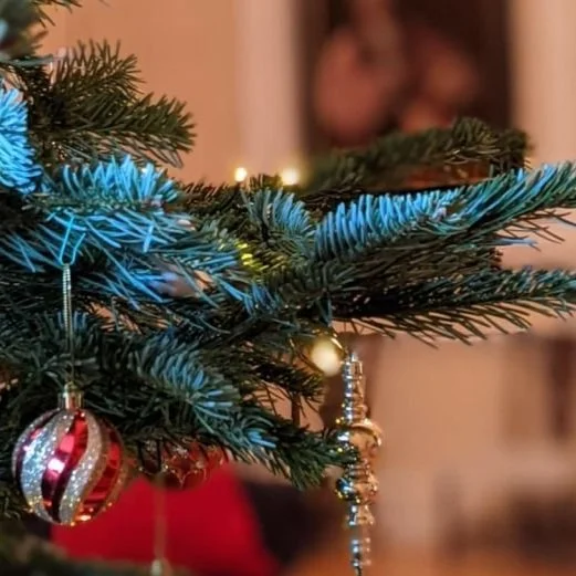 Fulham Palace Christmas Fair Weekend
