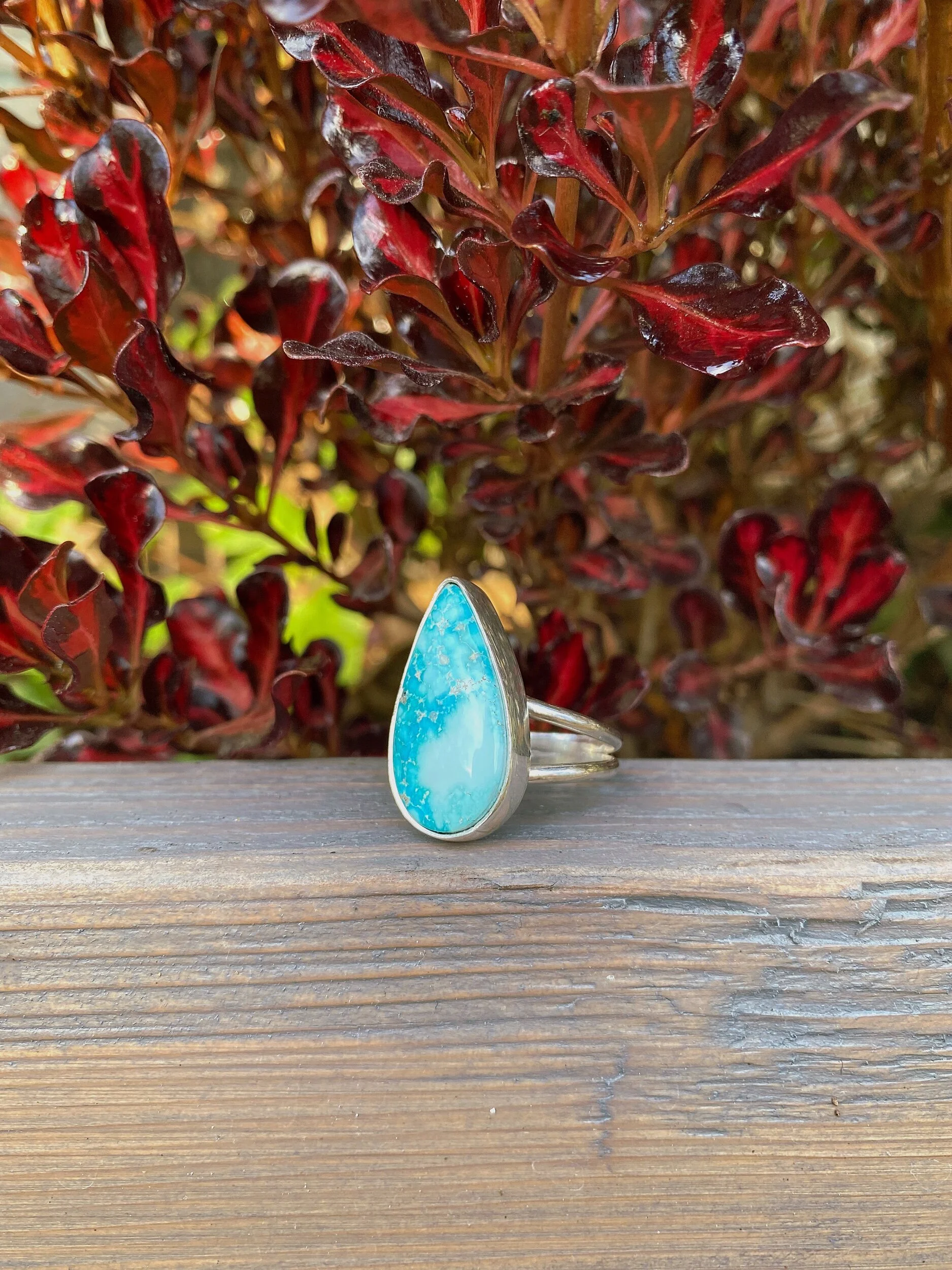 F5E7FE38-FED1-4D42-90A2-D131BB43F6A9