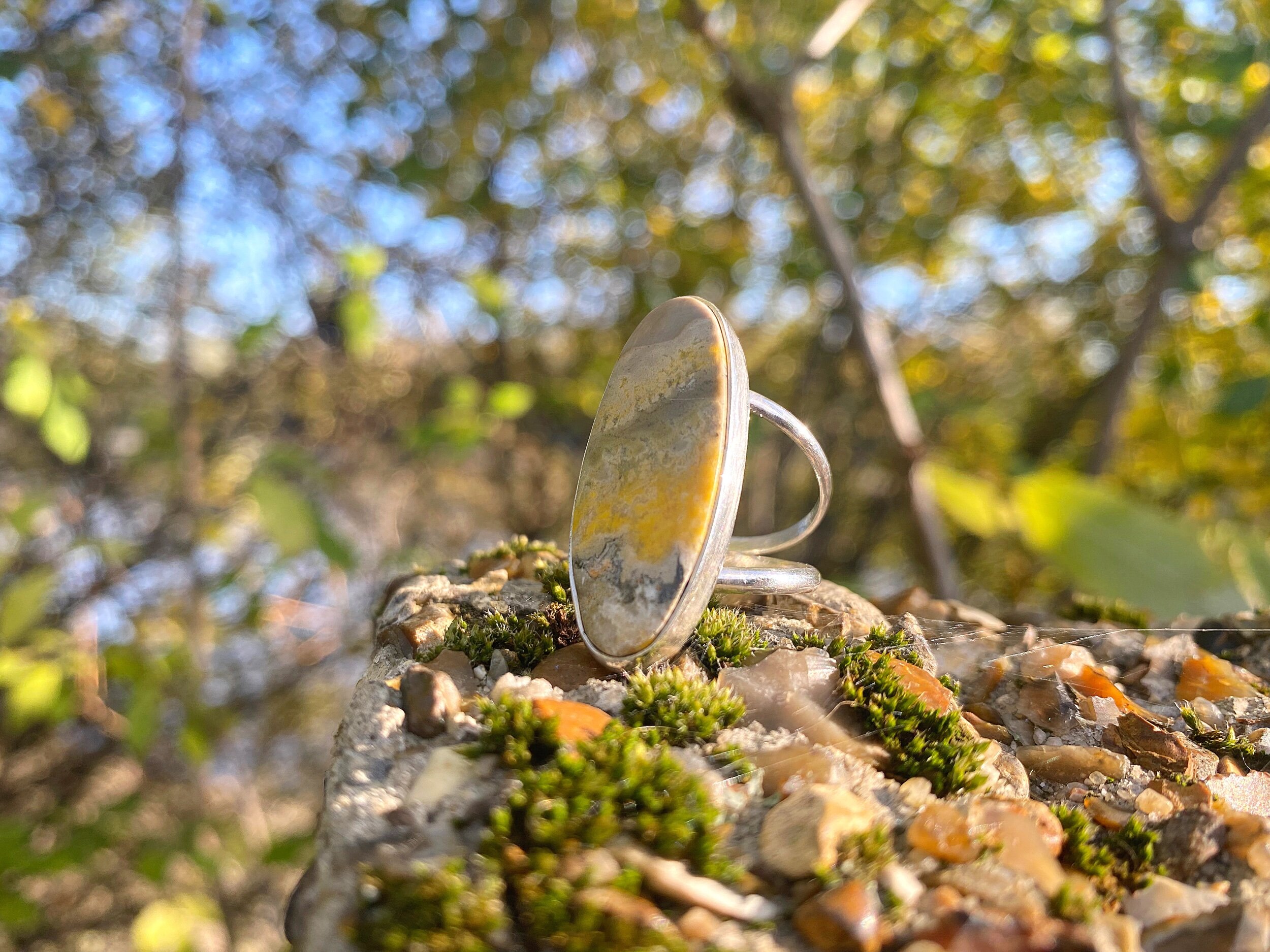 BFAF38B7-014B-4A57-A568-02301E7C9EB6