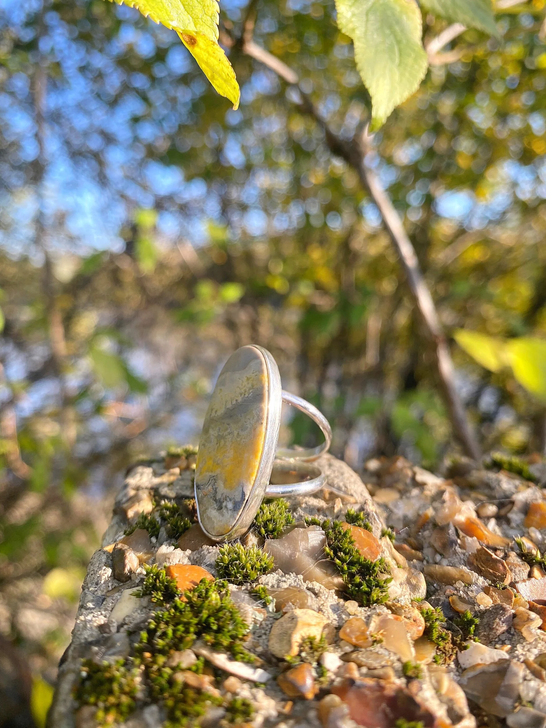 75378672-2069-4D39-87FE-177BB82B9890