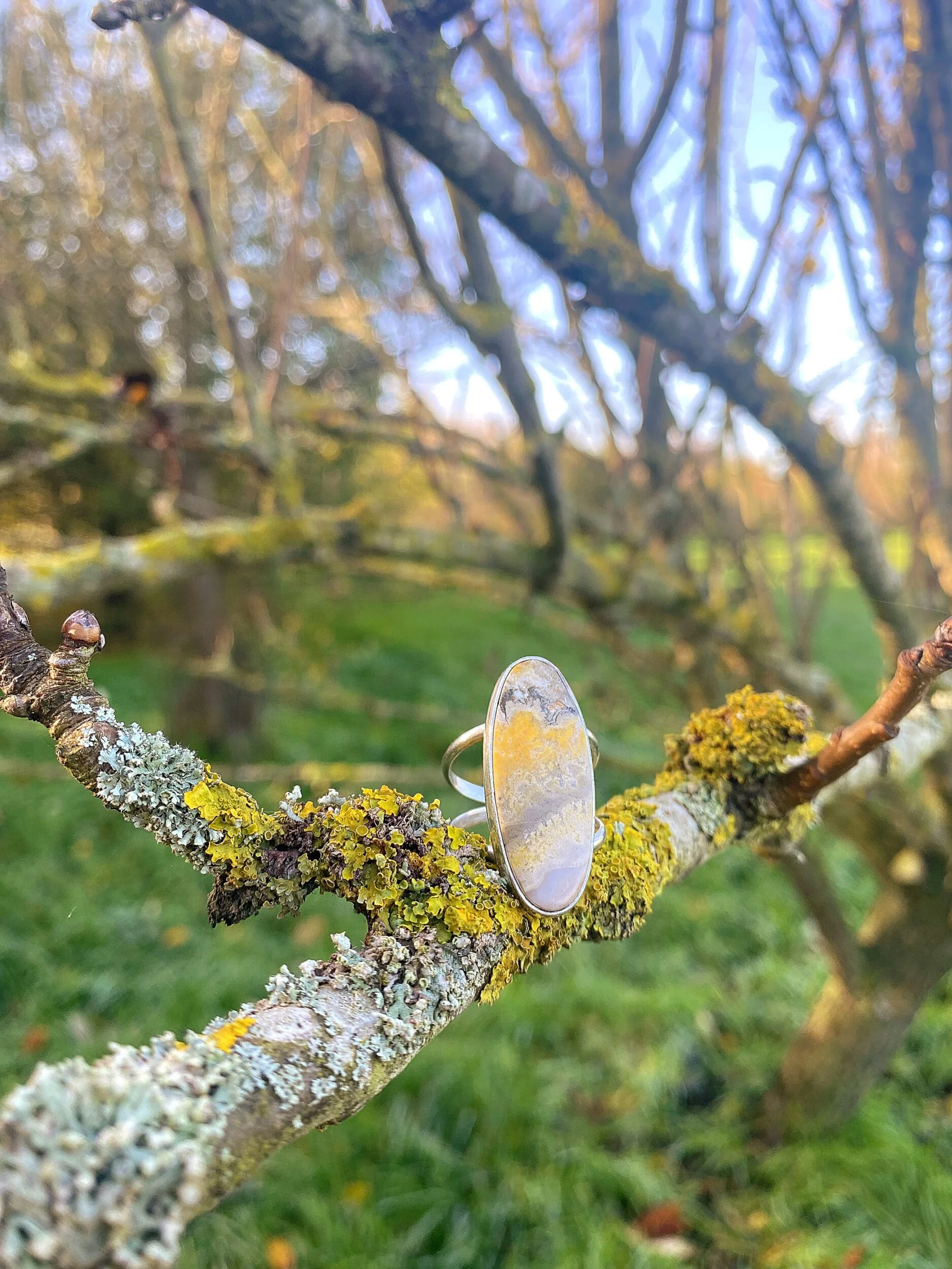 56BA68B9-2CAF-43E4-BD7C-18CFD26475D2