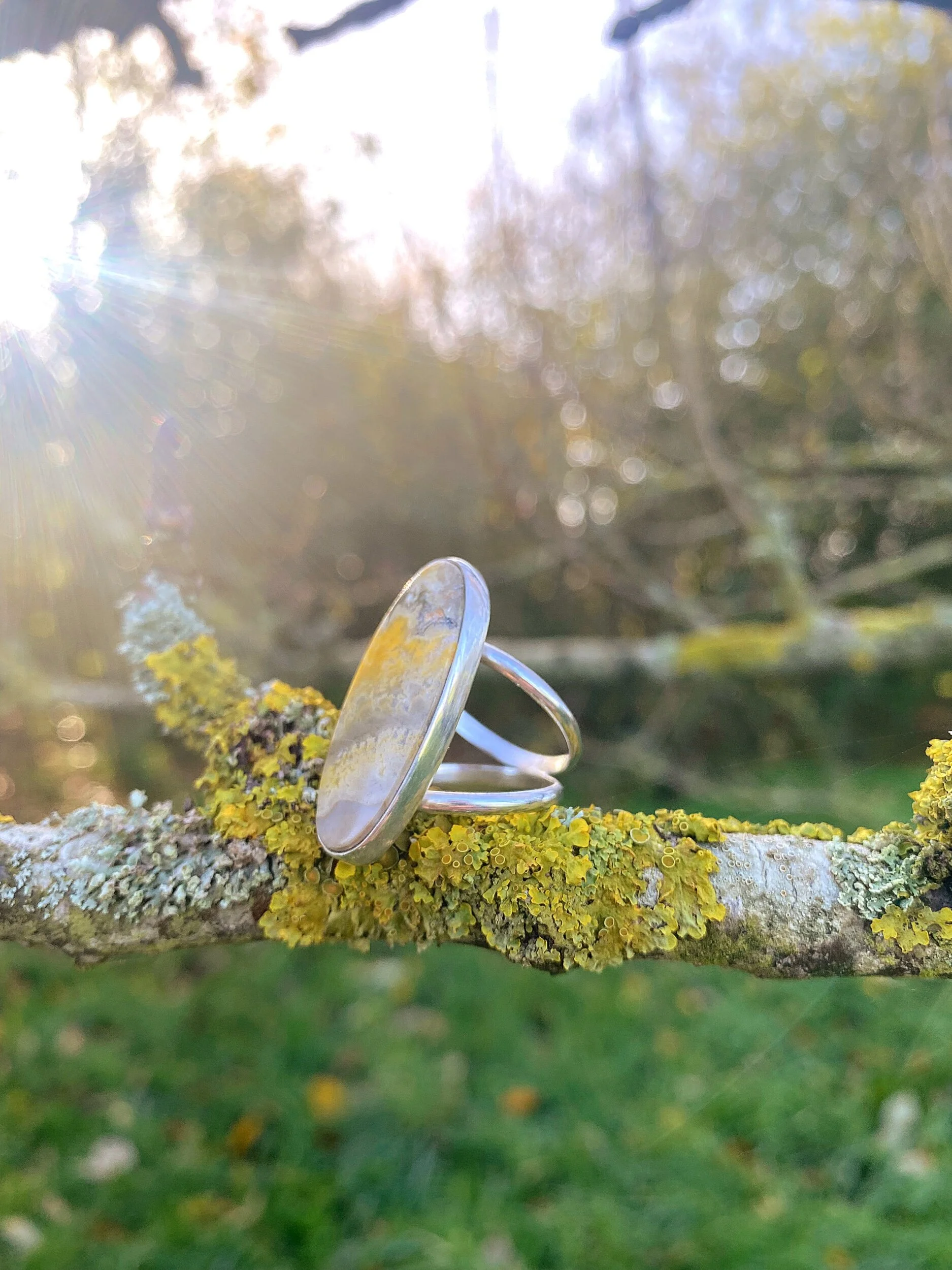 3A25100F-3E98-4709-AE91-570382A8BDC4