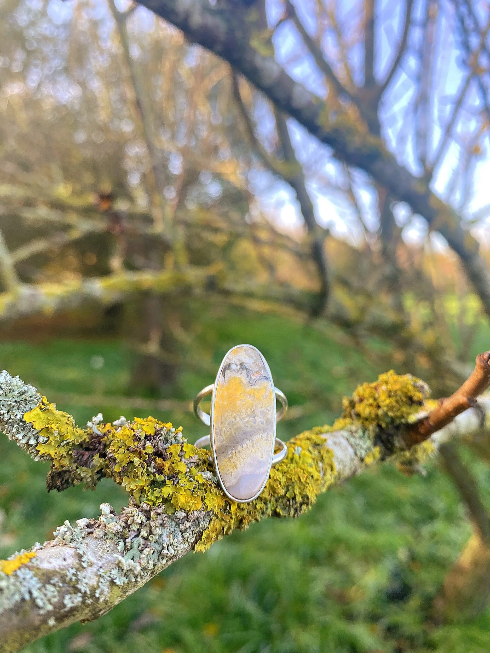 9E52B018-1042-4D18-9D5C-8FEB40B82009