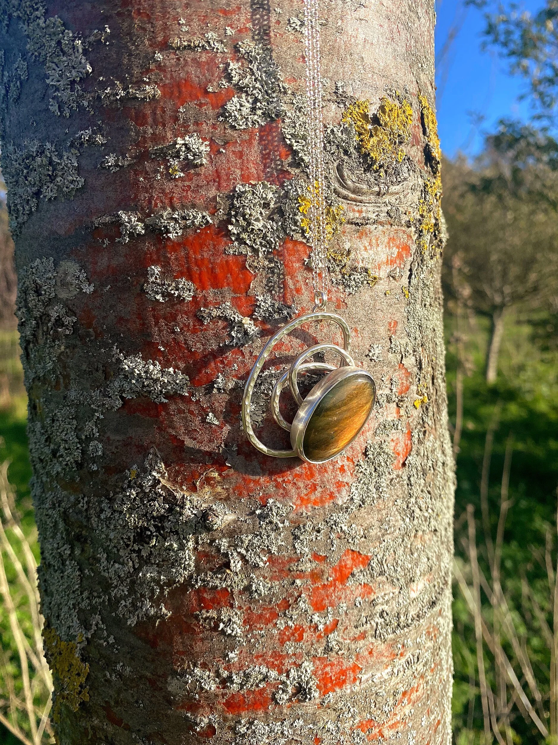 C15C7134-A003-42D6-95D6-A770CBFF956F