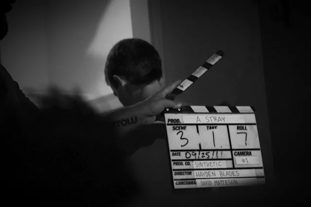 a stray shoot4.jpg