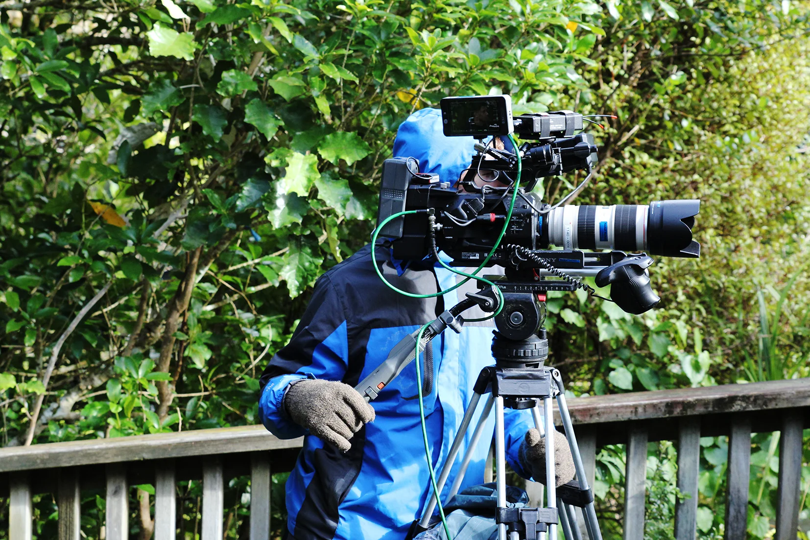 L-C-P Roxy5_R&P-2017-1270.jpg