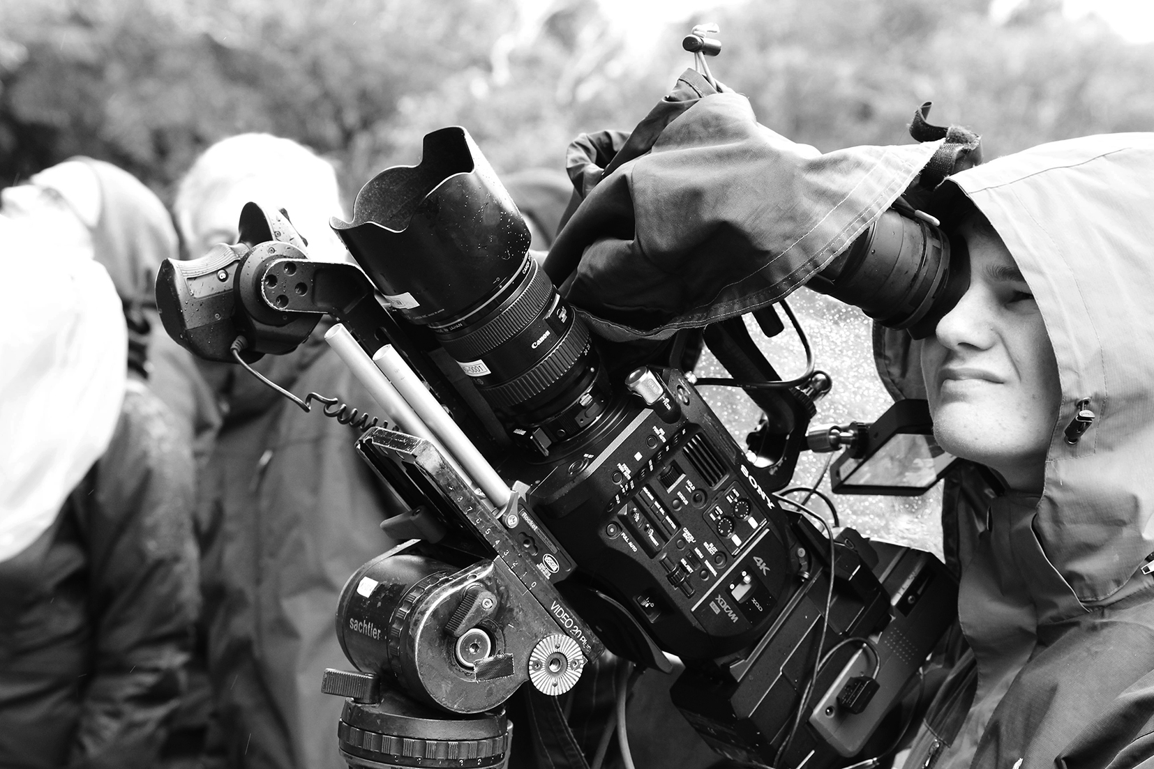 L-C-P Roxy5_R&P-2017-1399.jpg