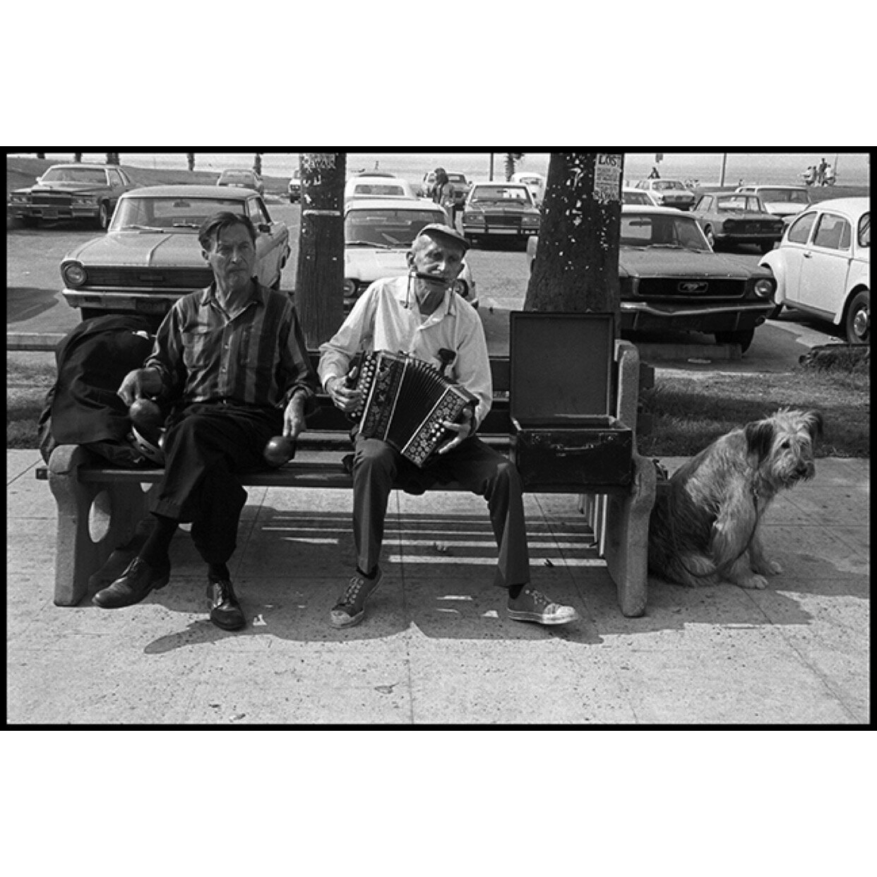 'Maracas, Harmonica, Accordion, Dog' 1979 © Ave Pildas
