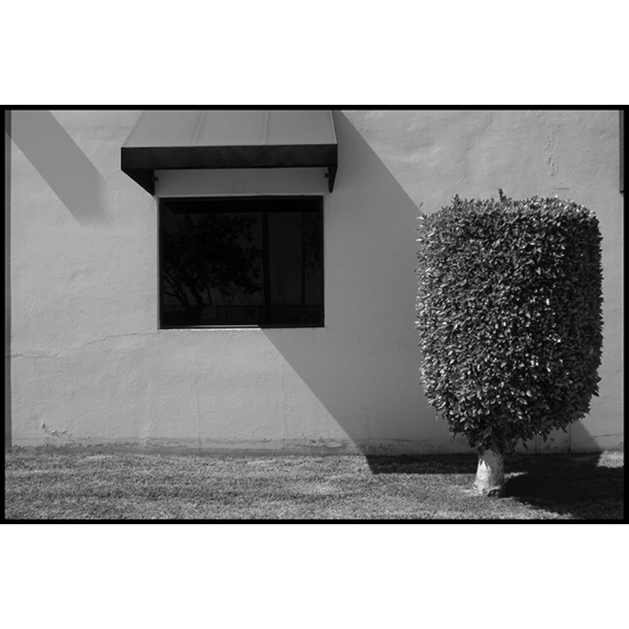 𝗧𝗶𝘁𝗹𝗲: 'Window &amp; Bush' | 𝗟𝗼𝗰𝗮𝘁𝗶𝗼𝗻: Los Angeles, CA | 𝗬𝗲𝗮𝗿: 2011