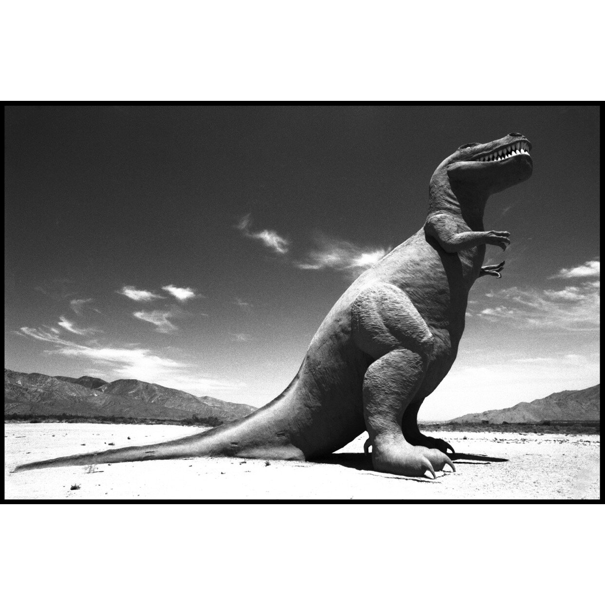 𝗧𝗶𝘁𝗹𝗲: 'T-Rex' | 𝗟𝗼𝗰𝗮𝘁𝗶𝗼𝗻: Cabazon, CA | 𝗬𝗲𝗮𝗿: 1991⁠