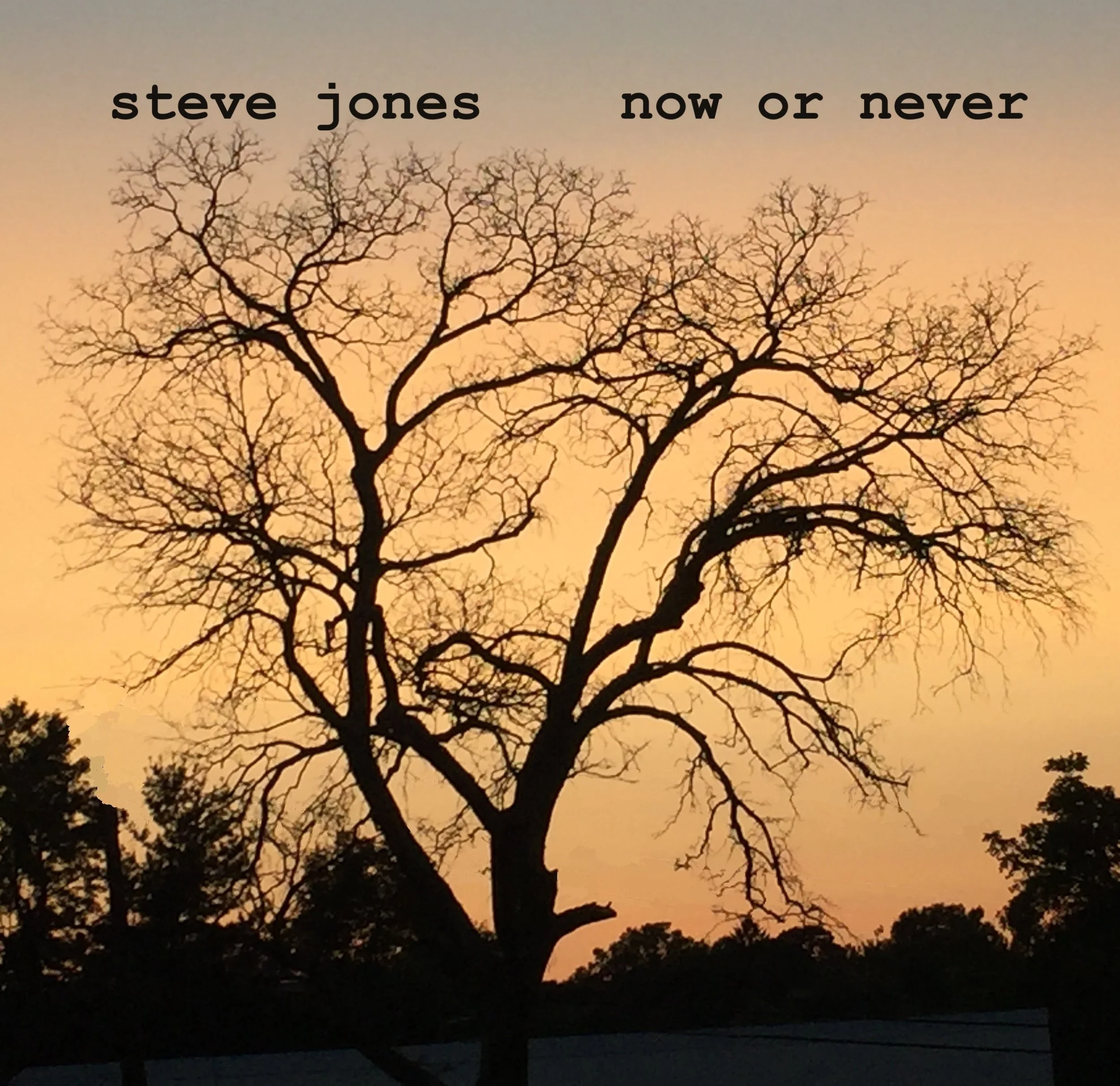 IMG_2500 - Copy - Copy.JPG