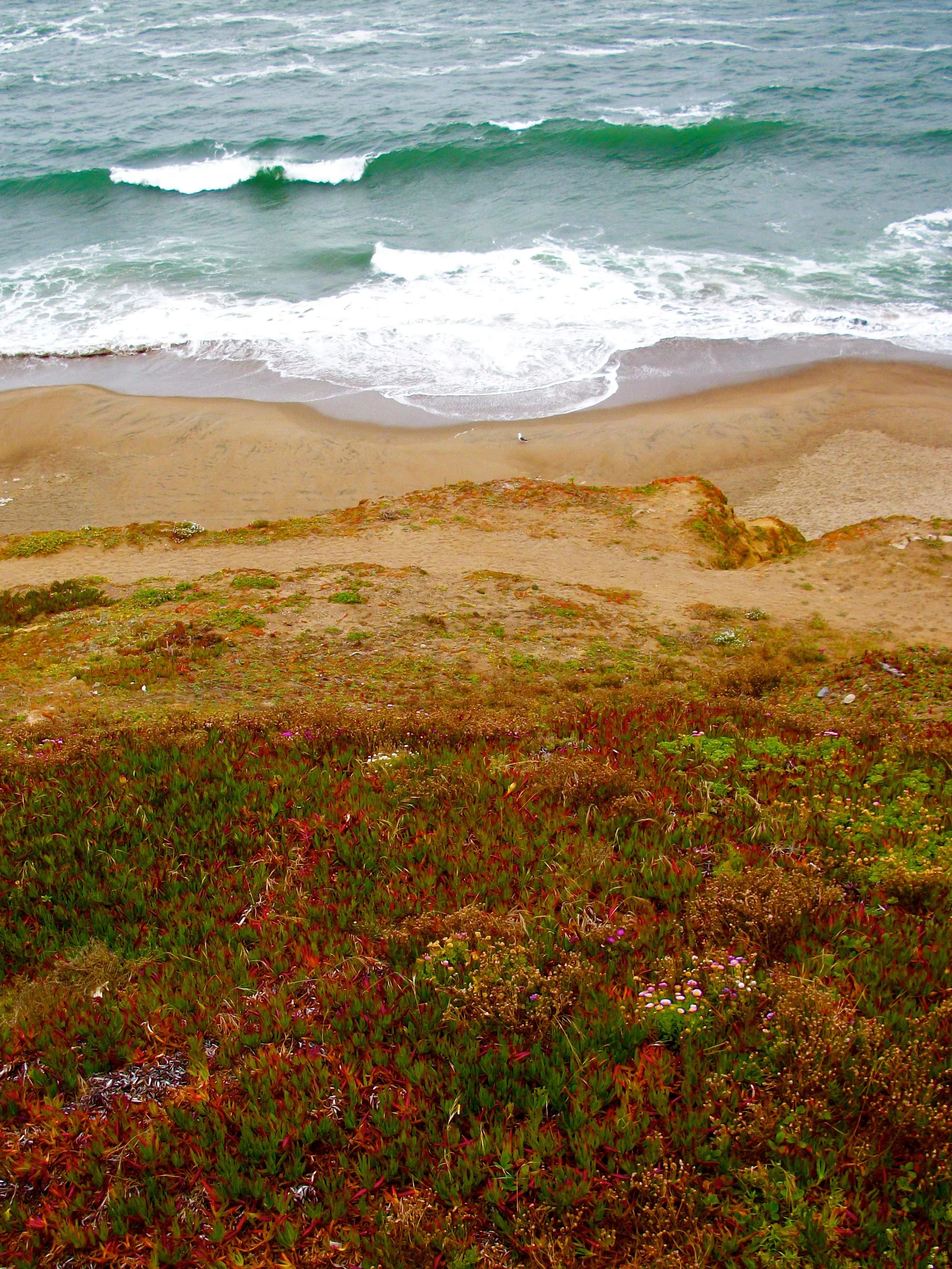 The Bay