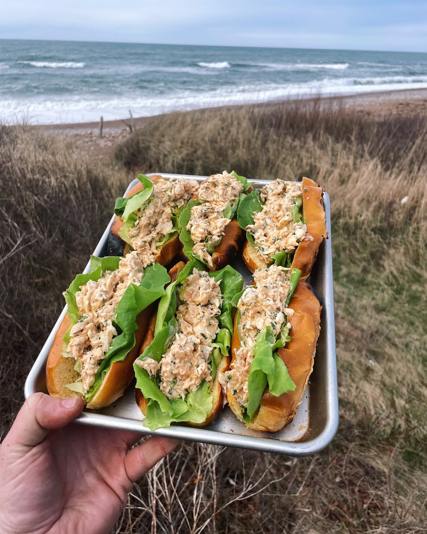 Spent 4 days travelling the Cabot Trail in a small camper with friend Angelo for an upcoming project, cooking outdoors and having a time!

- Grilled halibut rolls
- Black Brook Beach
- Wild oysters at Pleasant Bay Beach
- Tomato and snow crab salad i