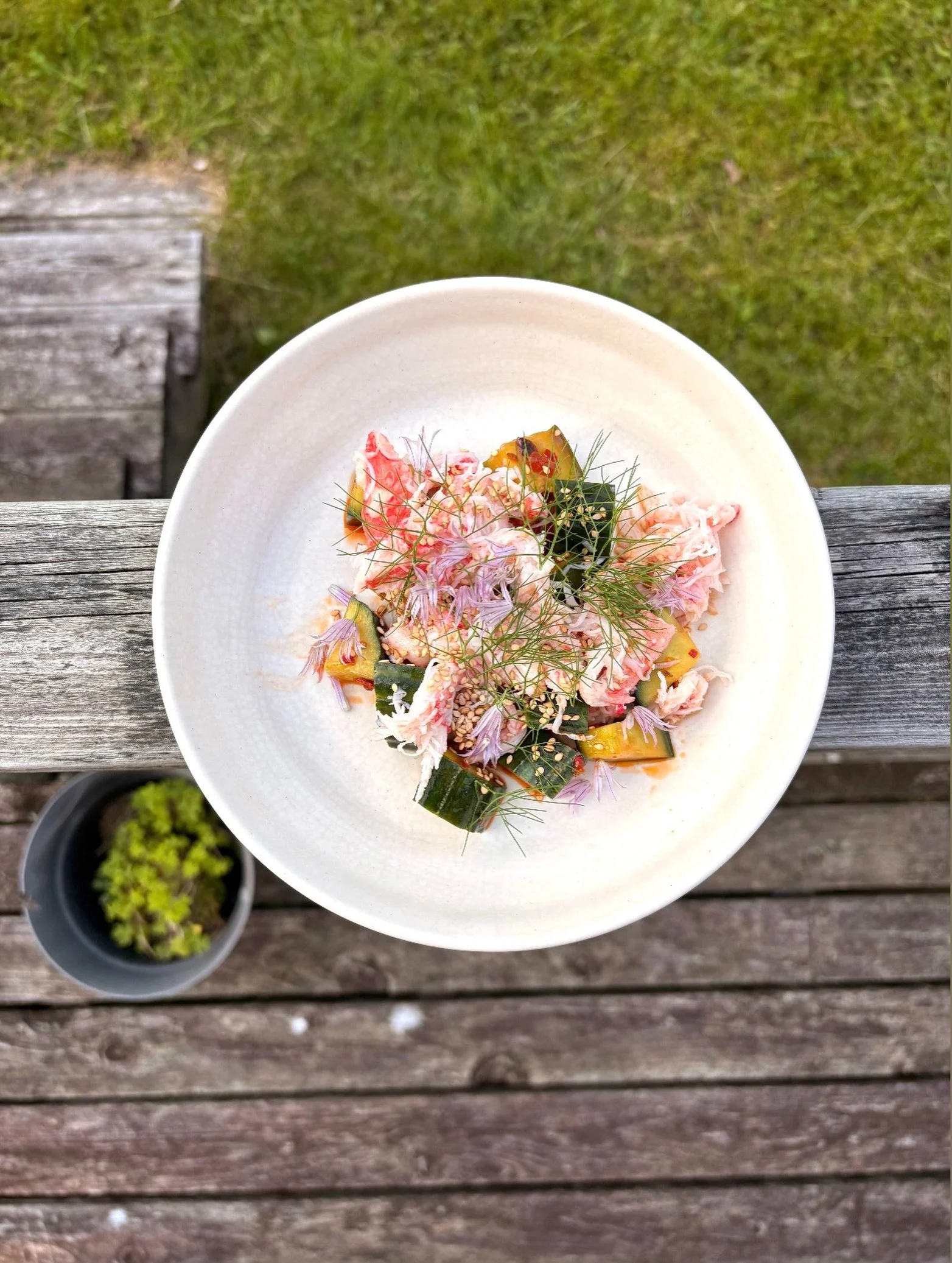 Chili cucumbers, snow crab, sweet fennel &amp; ginger!