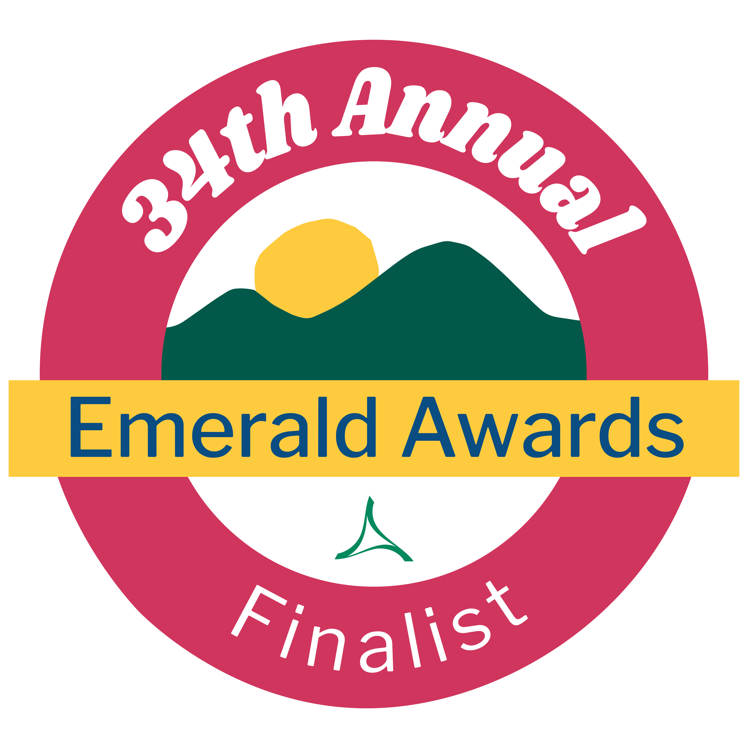 34th Annual Emerald Award Finalist
