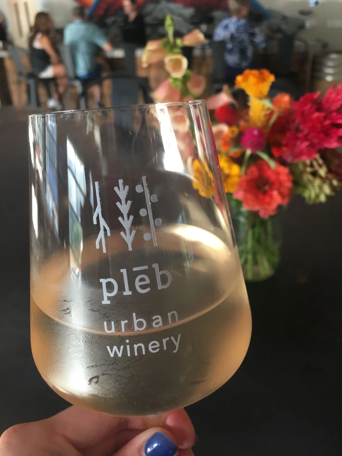 pleb_wineglass.jpg