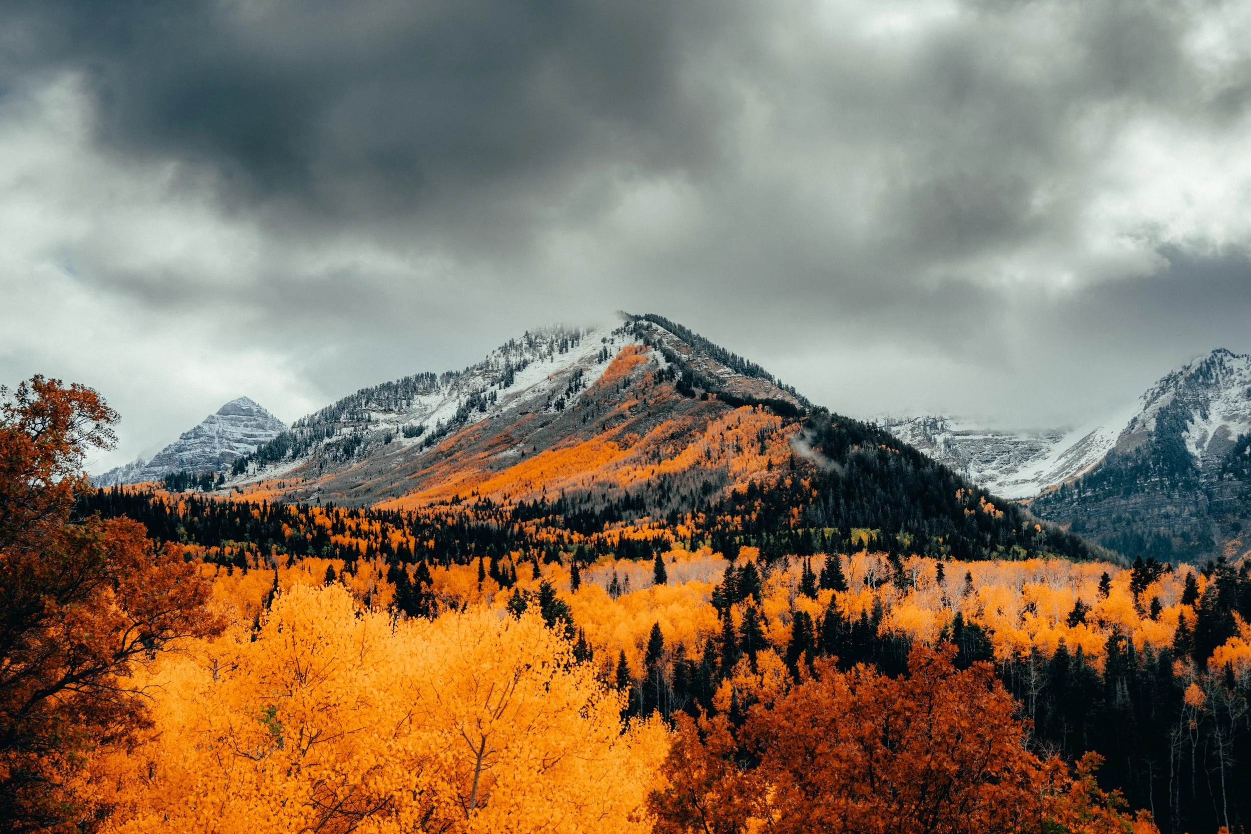 November Newsletter 2021