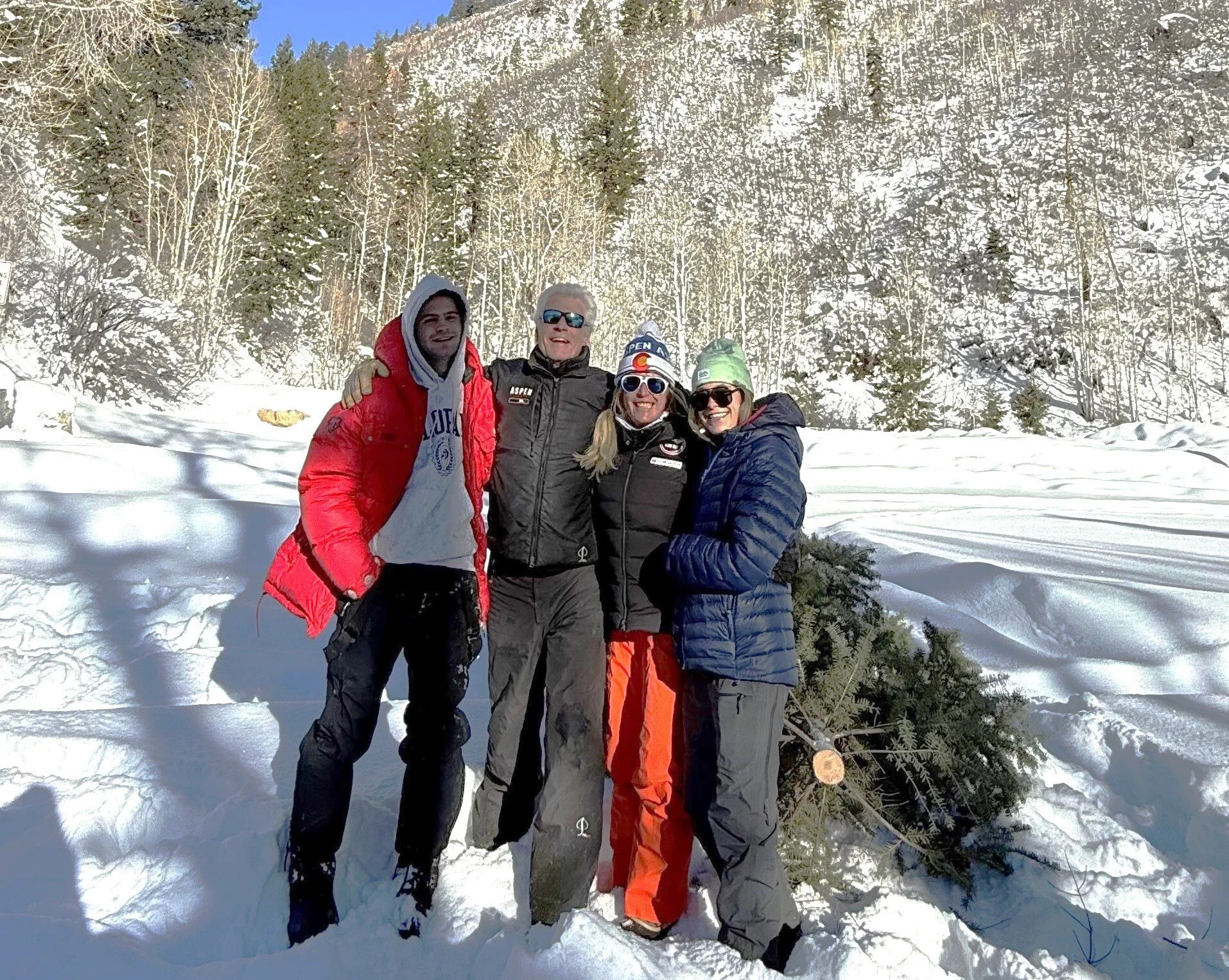 Laurie Laing's Market Update | December 2024